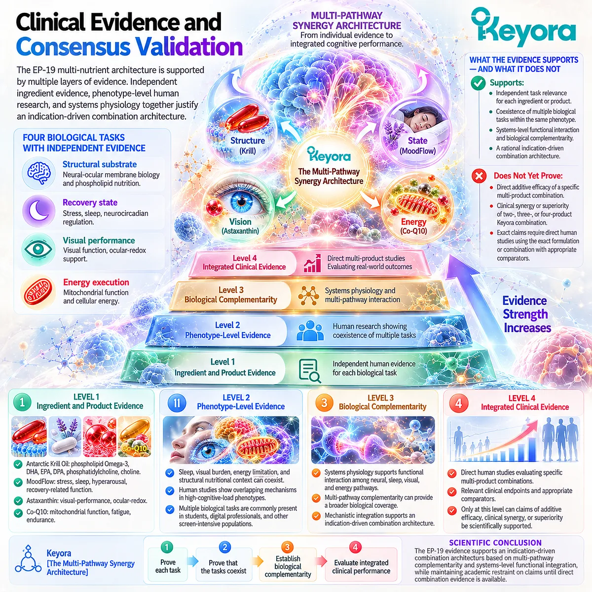 Multi-nutrient cognitive support progresses from task-specific human evidence to coexisting bottlenecks and functional integration in Keyora Multi-Pathway Synergy Architecture. Multi-nutrient cognitive support progresses from task-specific human evidence to coexisting bottlenecks and functional integration in Keyora Multi-Pathway Synergy Architecture.