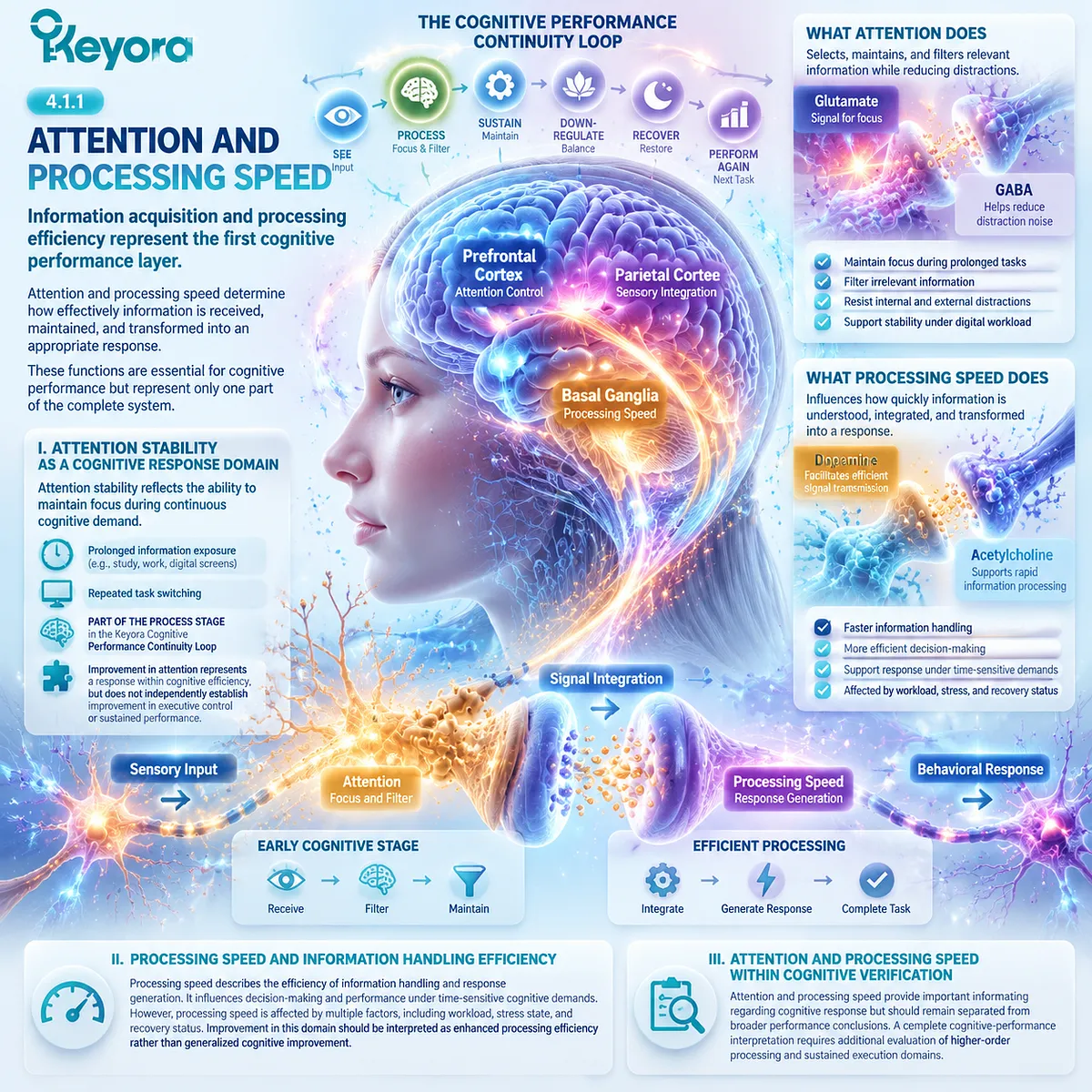 Attention stability and processing speed support cognitive performance through information handling efficiency, mapped by Keyora Cognitive Performance Continuity Loop within Integrated Performance Verification Matrix. Attention stability and processing speed support cognitive performance through information handling efficiency, mapped by Keyora Cognitive Performance Continuity Loop within Integrated Performance Verification Matrix.