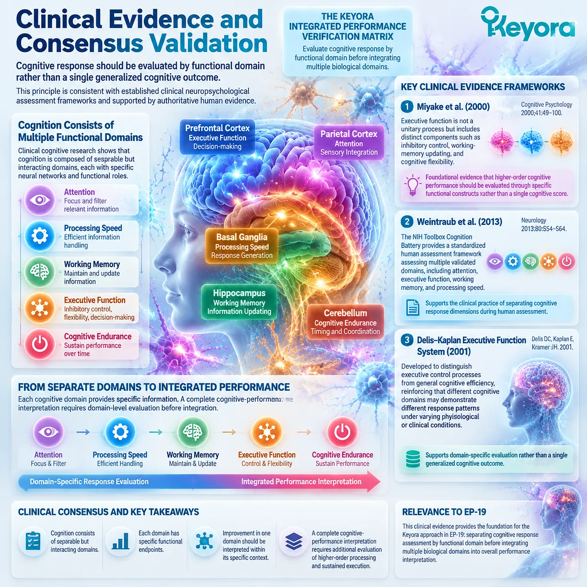 Cognitive domains including attention, executive function, working memory, and processing speed require separate evaluation using Keyora Integrated Performance Verification Matrix and human assessment frameworks. Cognitive domains including attention, executive function, working memory, and processing speed require separate evaluation using Keyora Integrated Performance Verification Matrix and human assessment frameworks.