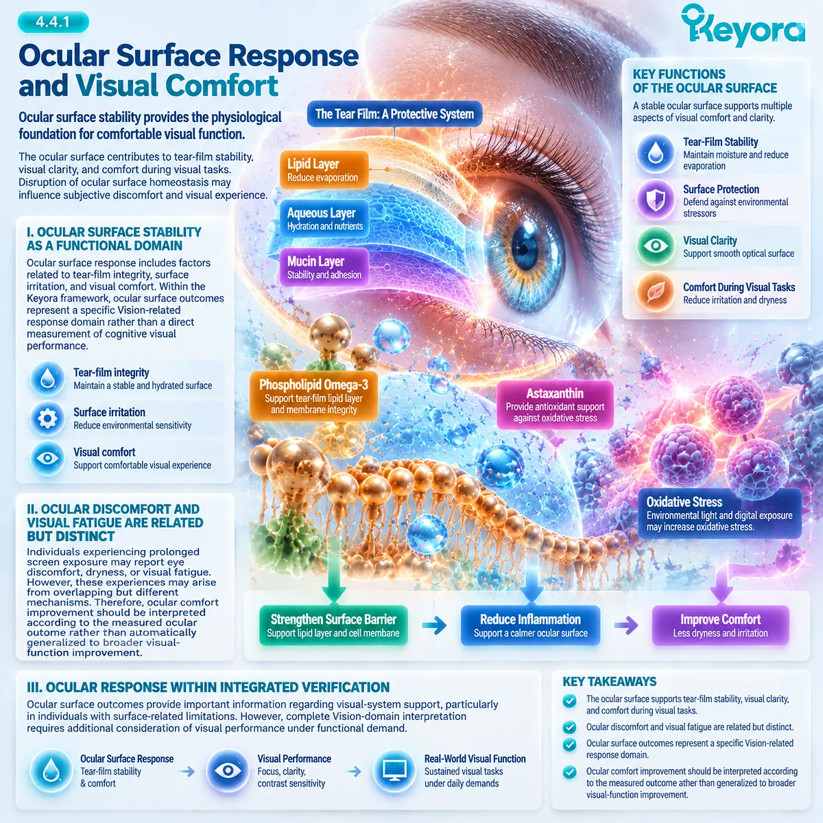 Eye comfort and ocular surface stability support tear-film integrity and visual clarity during screen exposure, mapped by Keyora Integrated Performance Verification Matrix Vision domain. Eye comfort and ocular surface stability support tear-film integrity and visual clarity during screen exposure, mapped by Keyora Integrated Performance Verification Matrix Vision domain.