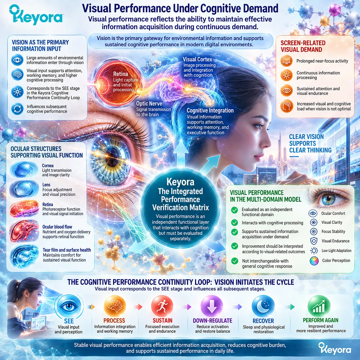Screen-related visual performance supports information acquisition under cognitive demand through the SEE stage of Keyora Cognitive Performance Continuity Loop and Vision domain. Screen-related visual performance supports information acquisition under cognitive demand through the SEE stage of Keyora Cognitive Performance Continuity Loop and Vision domain.
