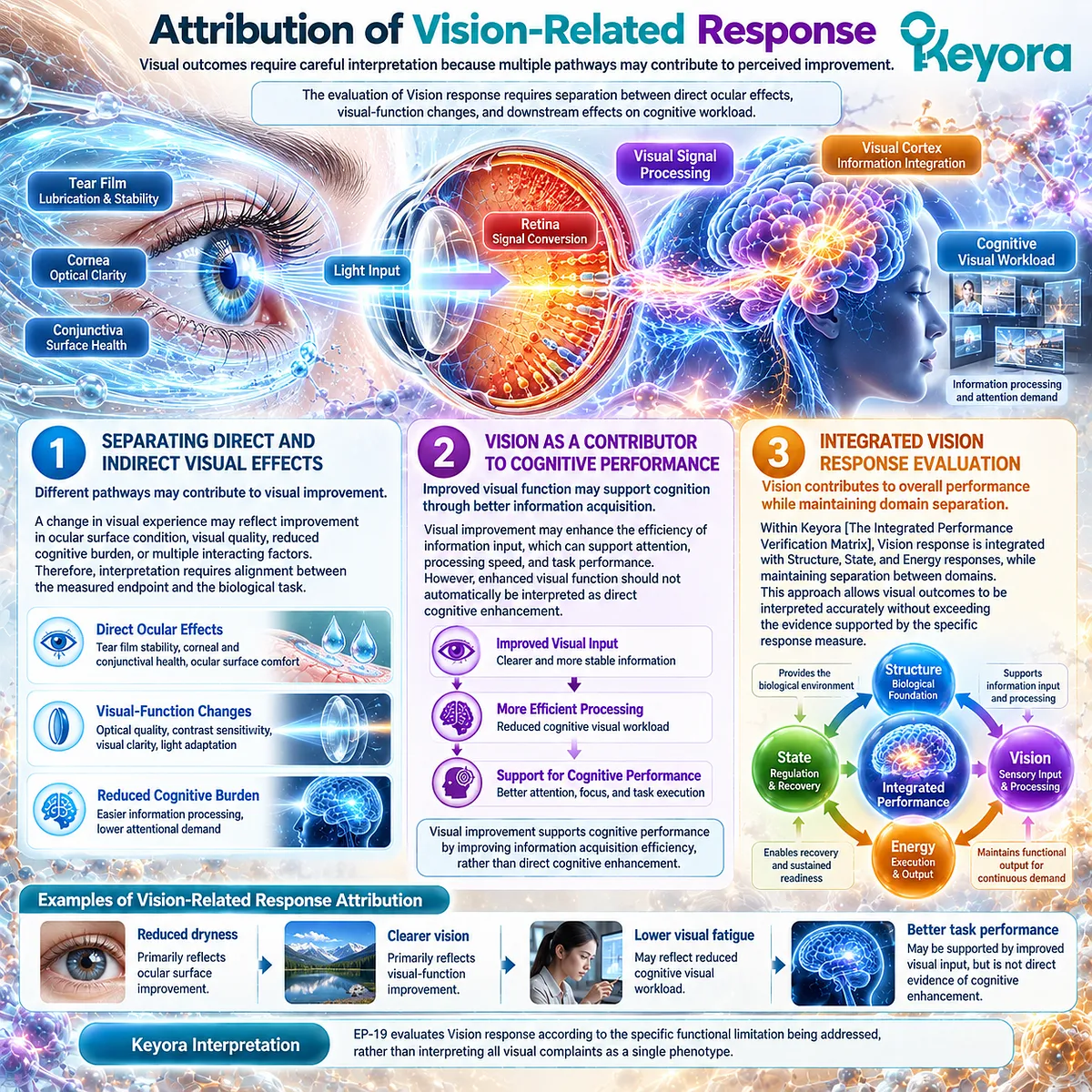 Visual function outcomes separate ocular effects, information acquisition, and cognitive workload to preserve evidence attribution in Keyora Integrated Performance Verification Matrix. Visual function outcomes separate ocular effects, information acquisition, and cognitive workload to preserve evidence attribution in Keyora Integrated Performance Verification Matrix.