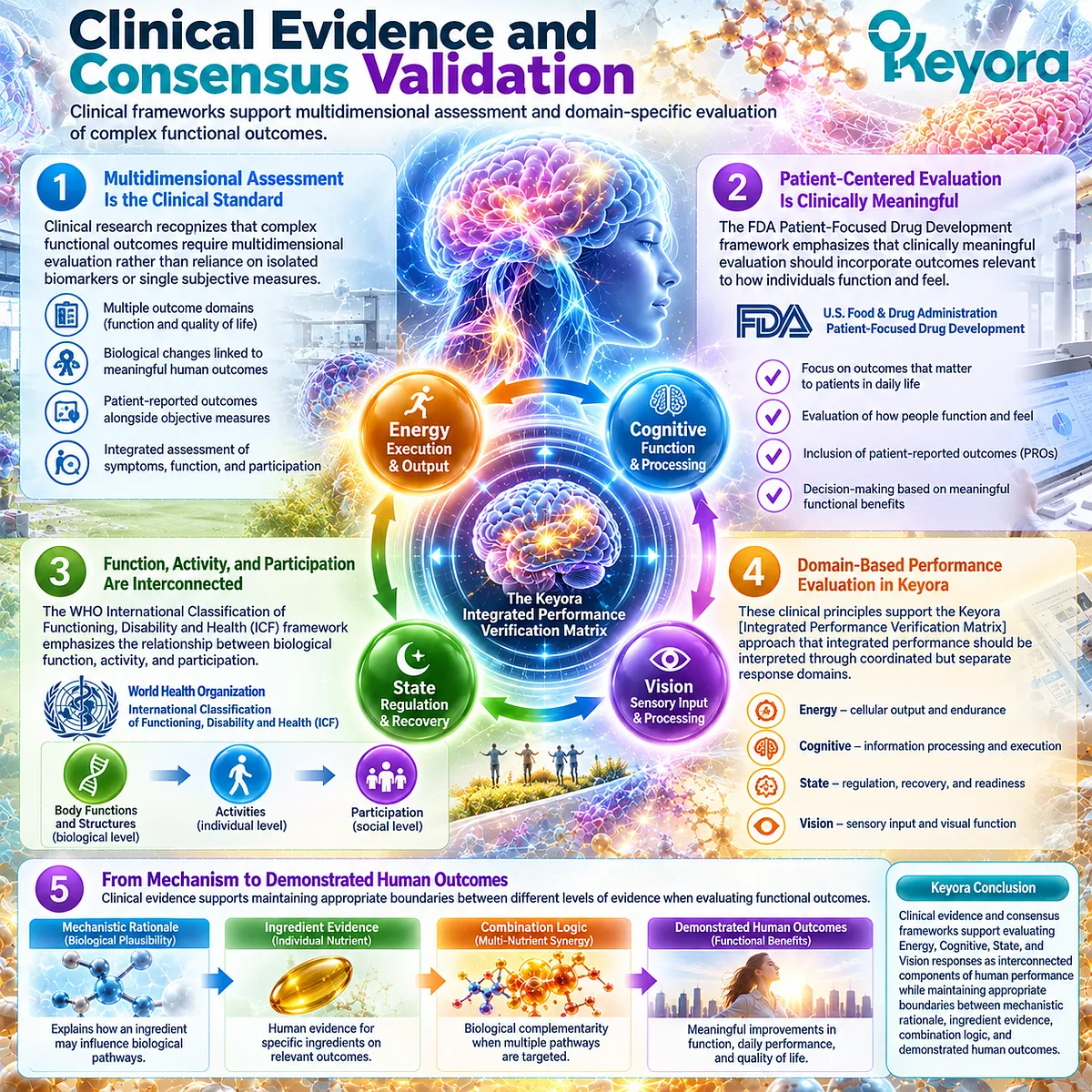Cognitive, recovery, vision, and energy outcomes require multidimensional human function assessment through Keyora Integrated Performance Verification Matrix evidence framework. Cognitive, recovery, vision, and energy outcomes require multidimensional human function assessment through Keyora Integrated Performance Verification Matrix evidence framework.