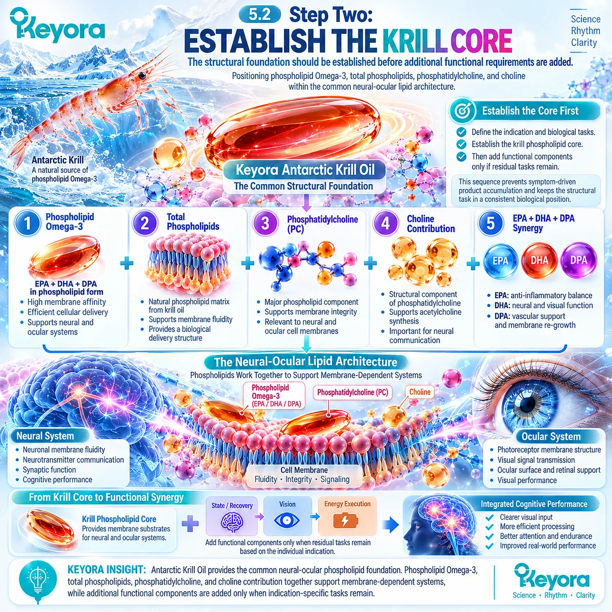 Krill oil phospholipid Omega-3, phosphatidylcholine and choline provide neural-ocular membrane support as the structural core of the Keyora Cognitive Load Multi-Nutrient Decision Algorithm. Krill oil phospholipid Omega-3, phosphatidylcholine and choline provide neural-ocular membrane support as the structural core of the Keyora Cognitive Load Multi-Nutrient Decision Algorithm.