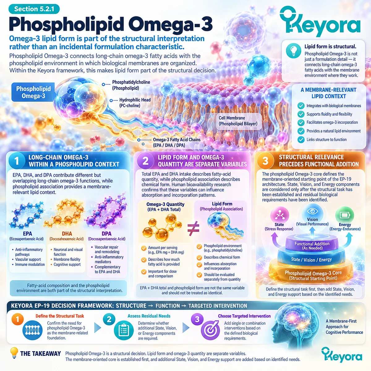 Krill oil phospholipid Omega-3 links EPA, DHA and DPA with membrane-relevant lipid form, establishing the structural core of the Keyora cognitive performance architecture. Krill oil phospholipid Omega-3 links EPA, DHA and DPA with membrane-relevant lipid form, establishing the structural core of the Keyora cognitive performance architecture.