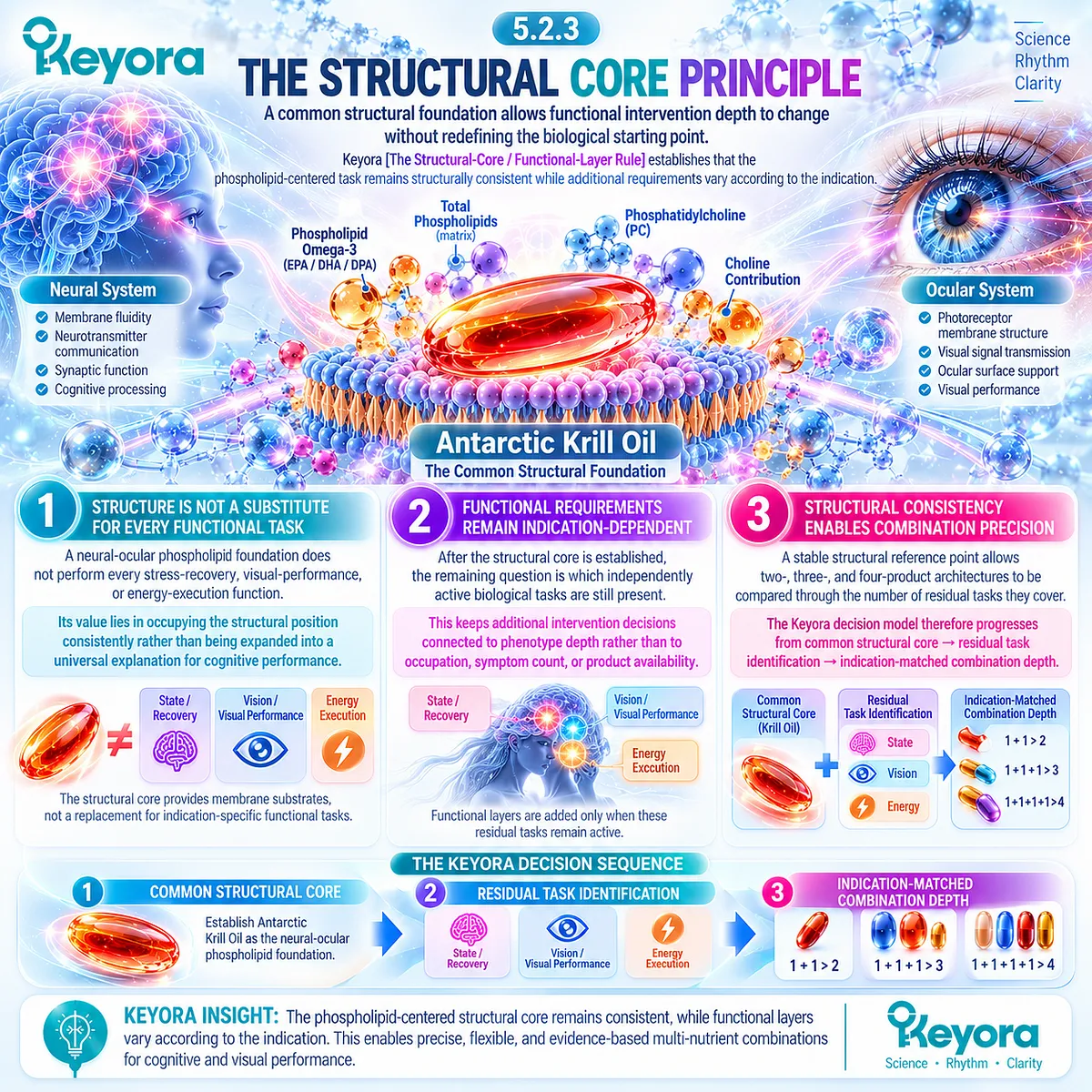 Cognitive performance support begins with a neural-ocular phospholipid core, then adds indication-matched functional layers through the Keyora Structural-Core / Functional-Layer Rule. Cognitive performance support begins with a neural-ocular phospholipid core, then adds indication-matched functional layers through the Keyora Structural-Core / Functional-Layer Rule.