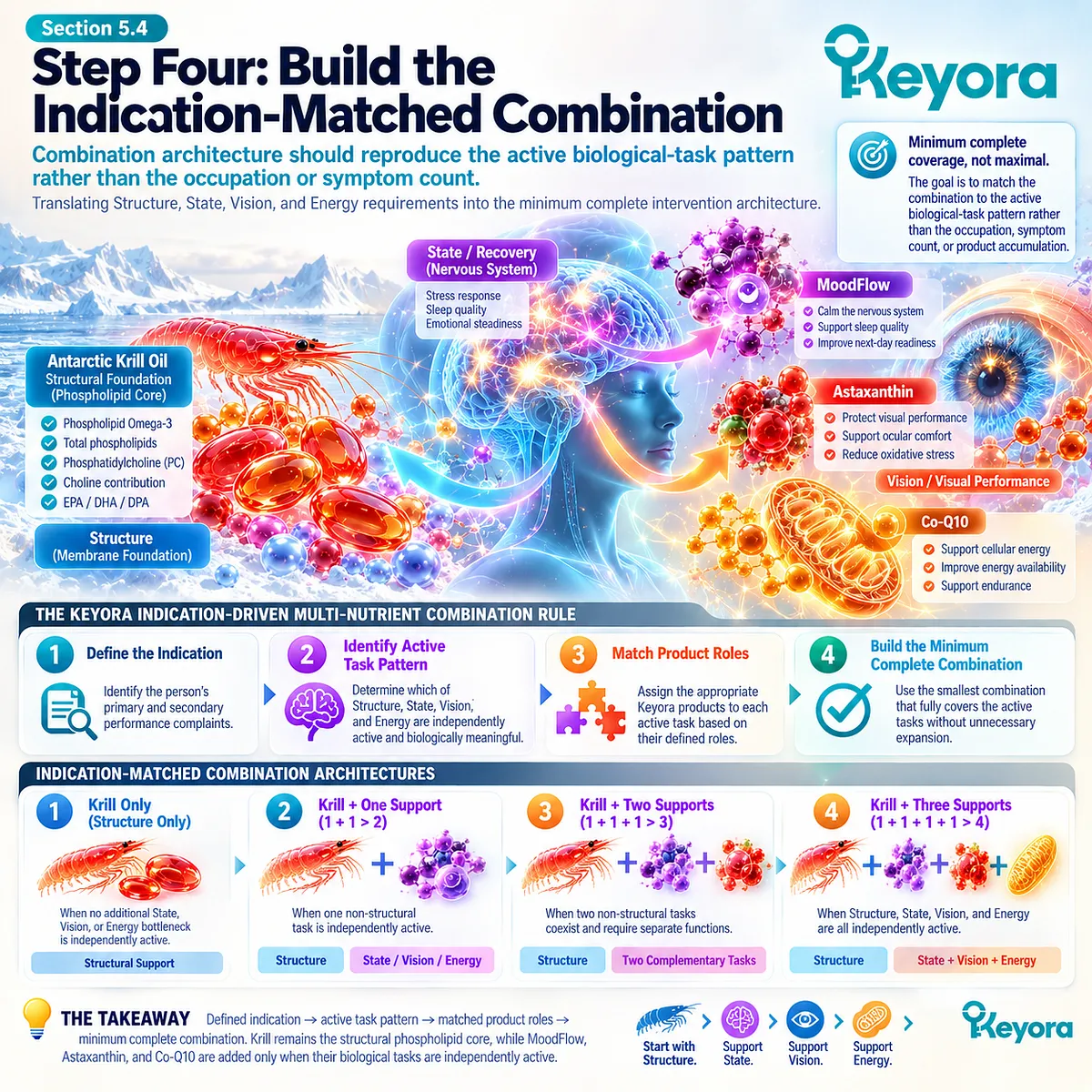 Cognitive load support maps krill Structure, MoodFlow State, astaxanthin Vision and Co-Q10 Energy to active tasks through Keyora’s Indication-Driven Multi-Nutrient Combination Rule. Cognitive load support maps krill Structure, MoodFlow State, astaxanthin Vision and Co-Q10 Energy to active tasks through Keyora’s Indication-Driven Multi-Nutrient Combination Rule.