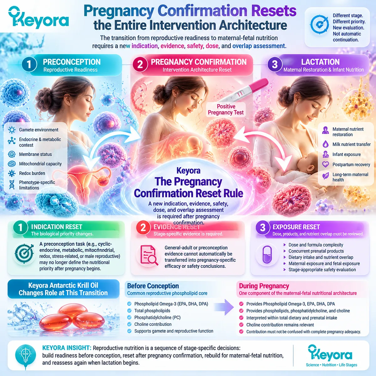 Pregnancy nutrition transition map showing preconception reset, maternal-fetal nutrient assessment, omega-3 exposure, safety and Keyora Pregnancy Confirmation Reset Rule. Pregnancy nutrition transition map showing preconception reset, maternal-fetal nutrient assessment, omega-3 exposure, safety and Keyora Pregnancy Confirmation Reset Rule.