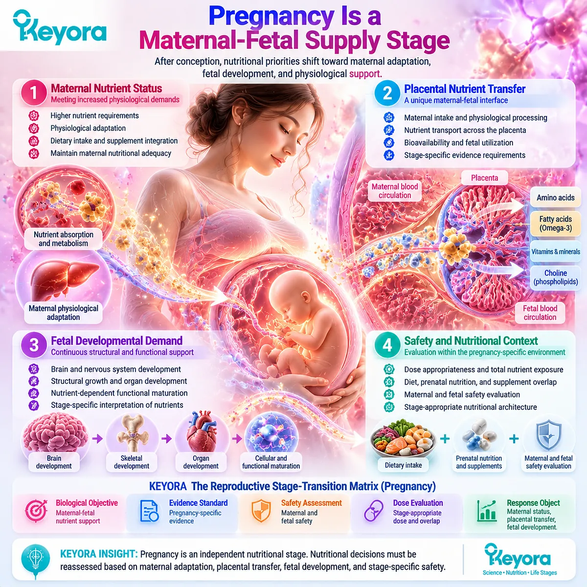 Pregnancy nutrition supports maternal adaptation, placental nutrient transfer and fetal development through the Keyora Reproductive Stage-Transition Matrix. Pregnancy nutrition supports maternal adaptation, placental nutrient transfer and fetal development through the Keyora Reproductive Stage-Transition Matrix.