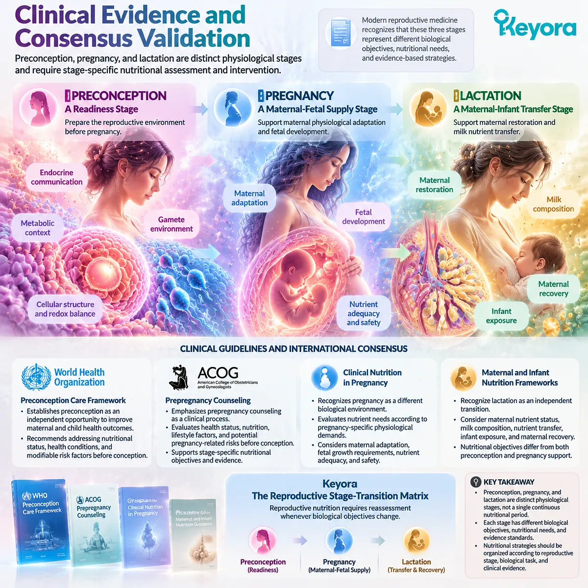 Reproductive nutrition evidence separates preconception, pregnancy and lactation by nutrient needs, maternal-infant transfer and safety in Keyora Reproductive Stage-Transition Matrix. Reproductive nutrition evidence separates preconception, pregnancy and lactation by nutrient needs, maternal-infant transfer and safety in Keyora Reproductive Stage-Transition Matrix.