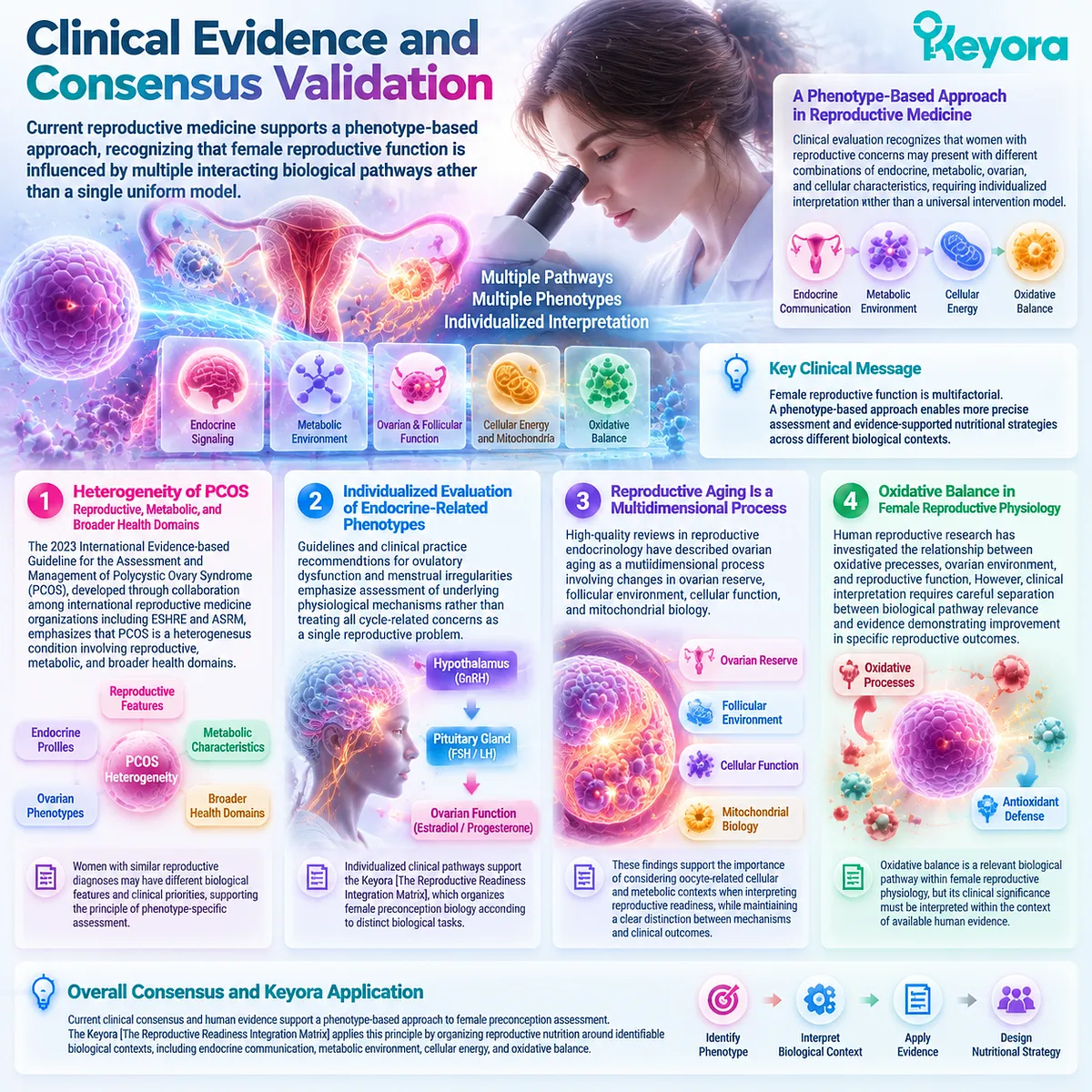 Female preconception assessment maps endocrine, metabolic, ovarian aging, mitochondrial and oxidative stress phenotypes through the Keyora Reproductive Readiness Integration Matrix. Female preconception assessment maps endocrine, metabolic, ovarian aging, mitochondrial and oxidative stress phenotypes through the Keyora Reproductive Readiness Integration Matrix.