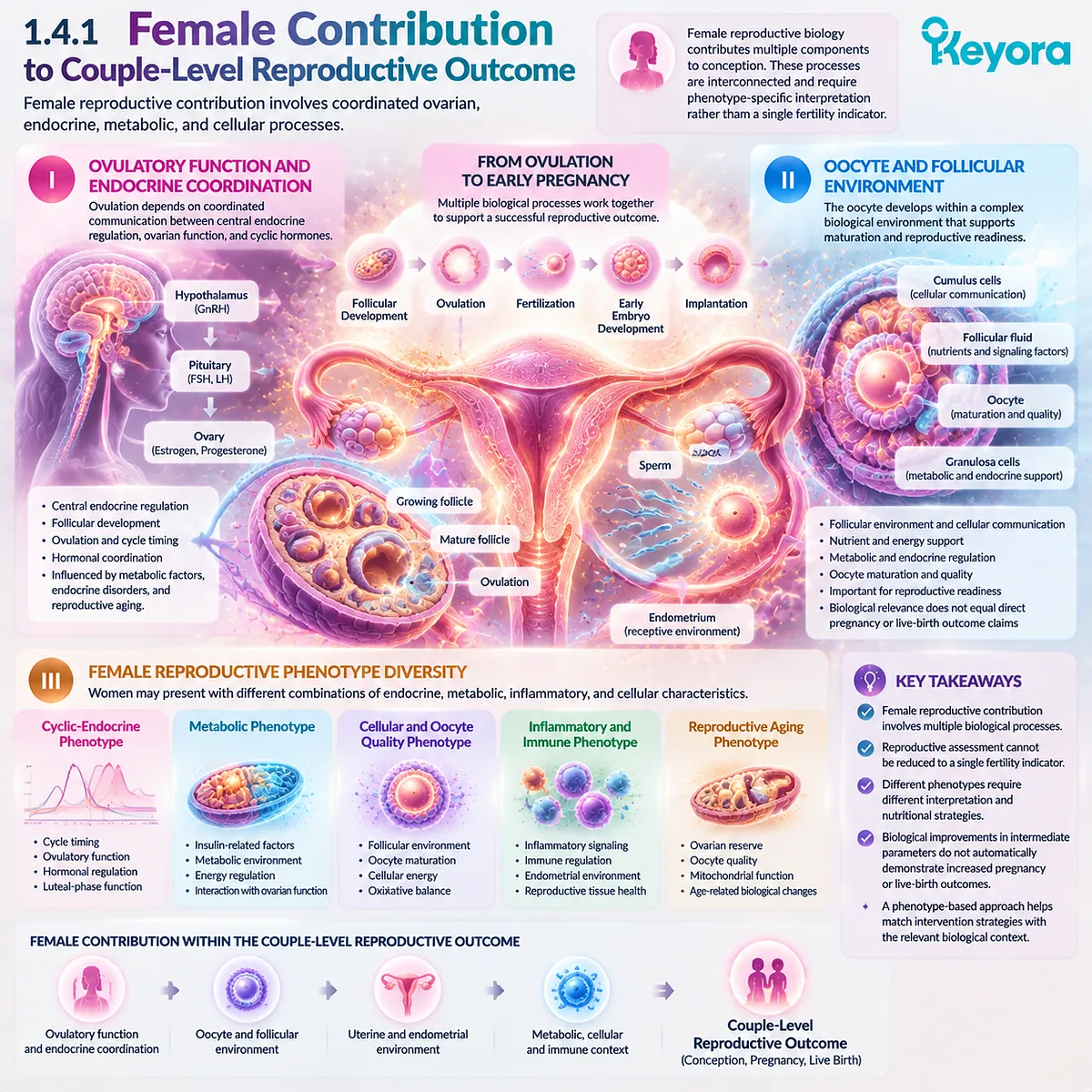 Female preconception fertility wellness links ovulation, endocrine signaling, oocyte follicular environment and metabolic phenotype in Keyora Partner-Specific Reproductive Architecture. Female preconception fertility wellness links ovulation, endocrine signaling, oocyte follicular environment and metabolic phenotype in Keyora Partner-Specific Reproductive Architecture.