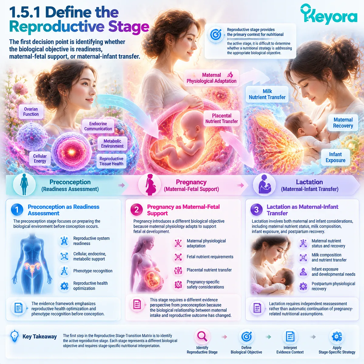 Reproductive nutrition maps preconception readiness, pregnancy maternal-fetal support and lactation maternal-infant transfer through Keyora Reproductive Stage-Transition Matrix. Reproductive nutrition maps preconception readiness, pregnancy maternal-fetal support and lactation maternal-infant transfer through Keyora Reproductive Stage-Transition Matrix.