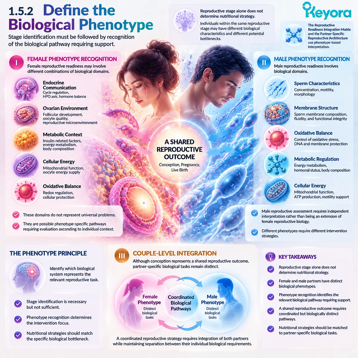 Preconception nutrition maps female endocrine and metabolic phenotypes with male sperm, redox and energy pathways through Keyora Reproductive Readiness Integration Matrix. Preconception nutrition maps female endocrine and metabolic phenotypes with male sperm, redox and energy pathways through Keyora Reproductive Readiness Integration Matrix.