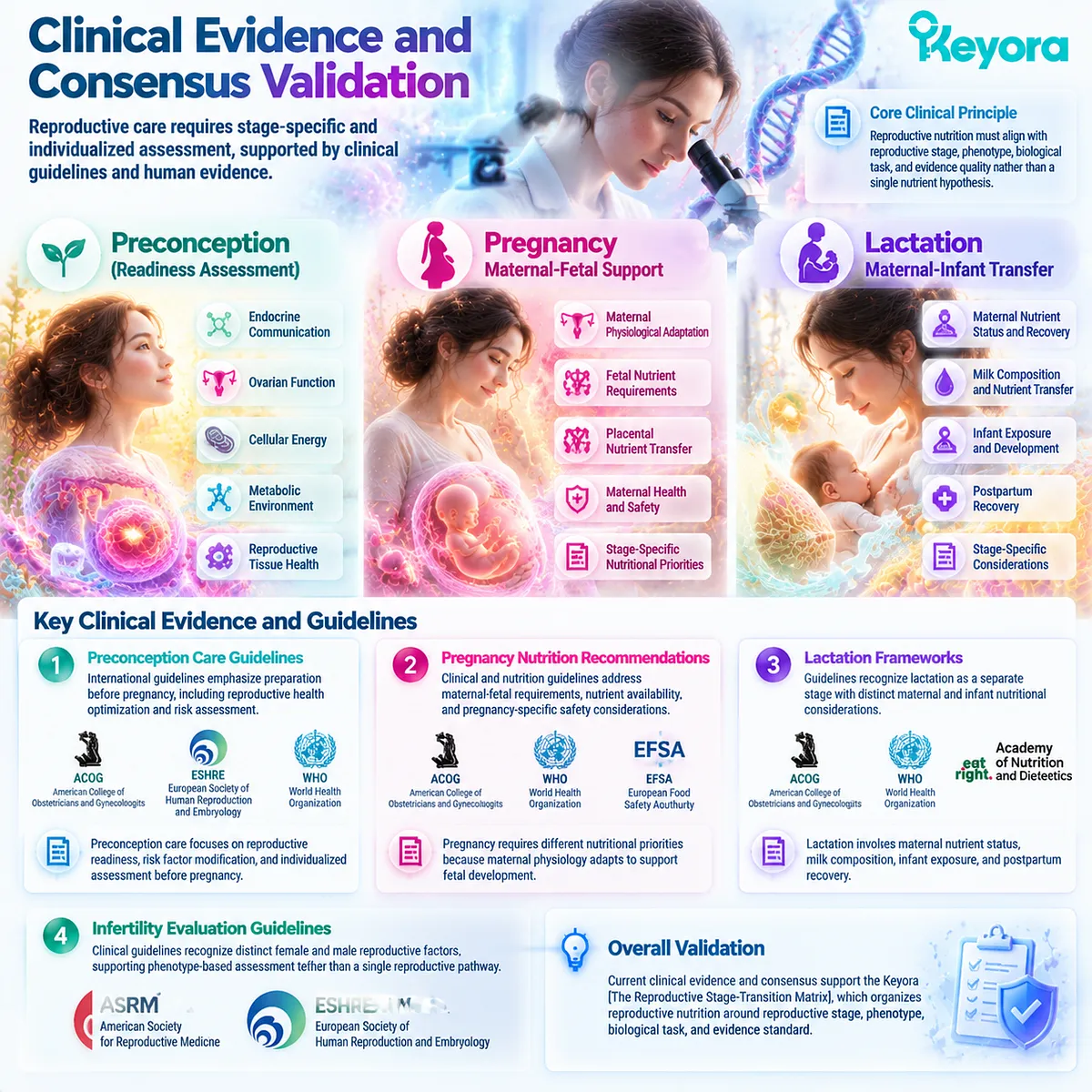 Reproductive nutrition evidence integrates stage-specific care, female and male fertility phenotypes and clinical evidence through Keyora Reproductive Stage-Transition Matrix. Reproductive nutrition evidence integrates stage-specific care, female and male fertility phenotypes and clinical evidence through Keyora Reproductive Stage-Transition Matrix.
