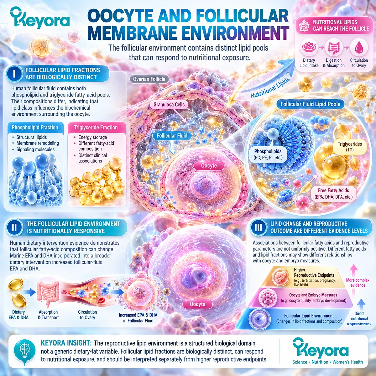 Fertility wellness links nutrition-responsive follicular phospholipid and fatty-acid pools with the oocyte microenvironment in Keyora Reproductive Phospholipid Foundation. Fertility wellness links nutrition-responsive follicular phospholipid and fatty-acid pools with the oocyte microenvironment in Keyora Reproductive Phospholipid Foundation.