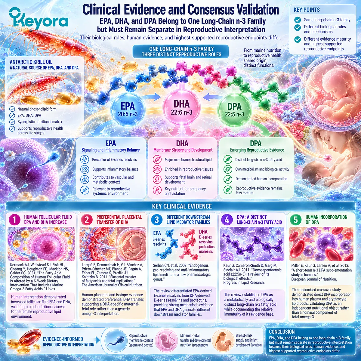 Reproductive omega-3 evidence separates DHA placental transfer, EPA resolvin pathways and DPA lipid incorporation within Keyora Reproductive Phospholipid Foundation. Reproductive omega-3 evidence separates DHA placental transfer, EPA resolvin pathways and DPA lipid incorporation within Keyora Reproductive Phospholipid Foundation.