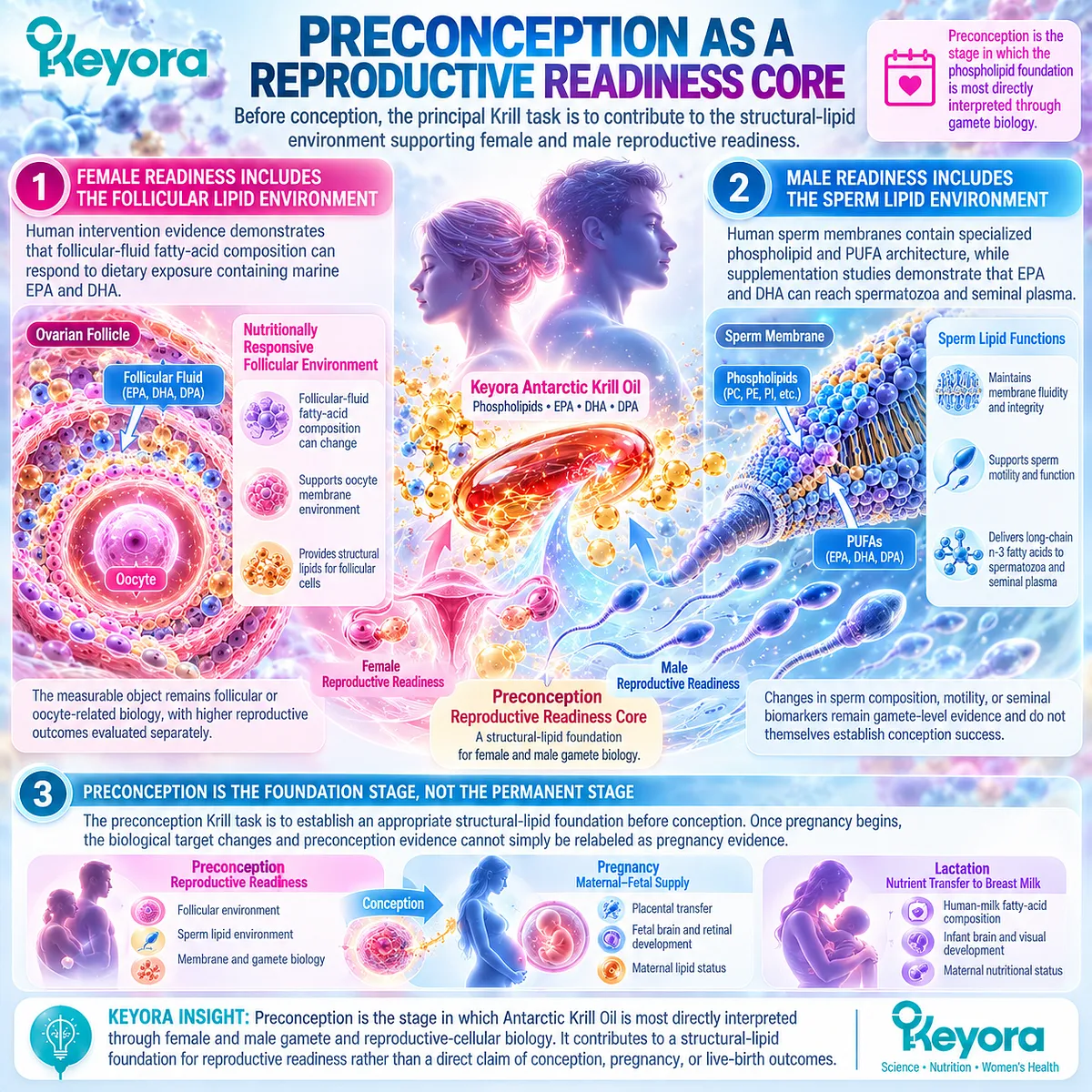 Preconception nutrition links krill phospholipid omega-3 with follicular and sperm membrane readiness through Keyora Reproductive Stage-Transition Matrix. Preconception nutrition links krill phospholipid omega-3 with follicular and sperm membrane readiness through Keyora Reproductive Stage-Transition Matrix.