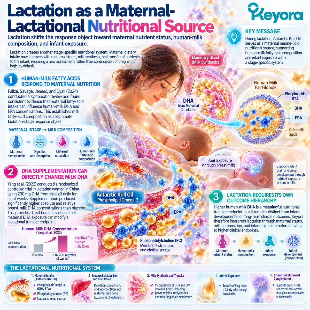 Lactation nutrition links maternal DHA and EPA intake with human-milk fatty-acid transfer and infant exposure through Keyora Reproductive Stage-Transition Matrix. Lactation nutrition links maternal DHA and EPA intake with human-milk fatty-acid transfer and infant exposure through Keyora Reproductive Stage-Transition Matrix.
