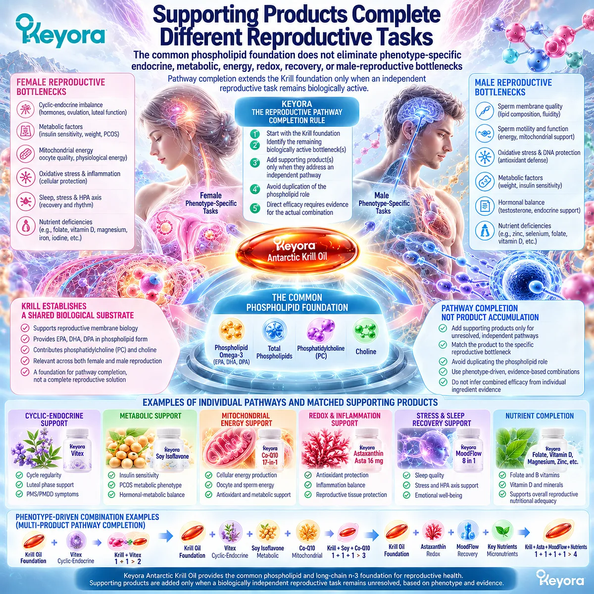 Preconception nutrition pairs krill membrane support with endocrine, metabolic, mitochondrial or redox pathways through Keyora Reproductive Pathway Completion Rule. Preconception nutrition pairs krill membrane support with endocrine, metabolic, mitochondrial or redox pathways through Keyora Reproductive Pathway Completion Rule.