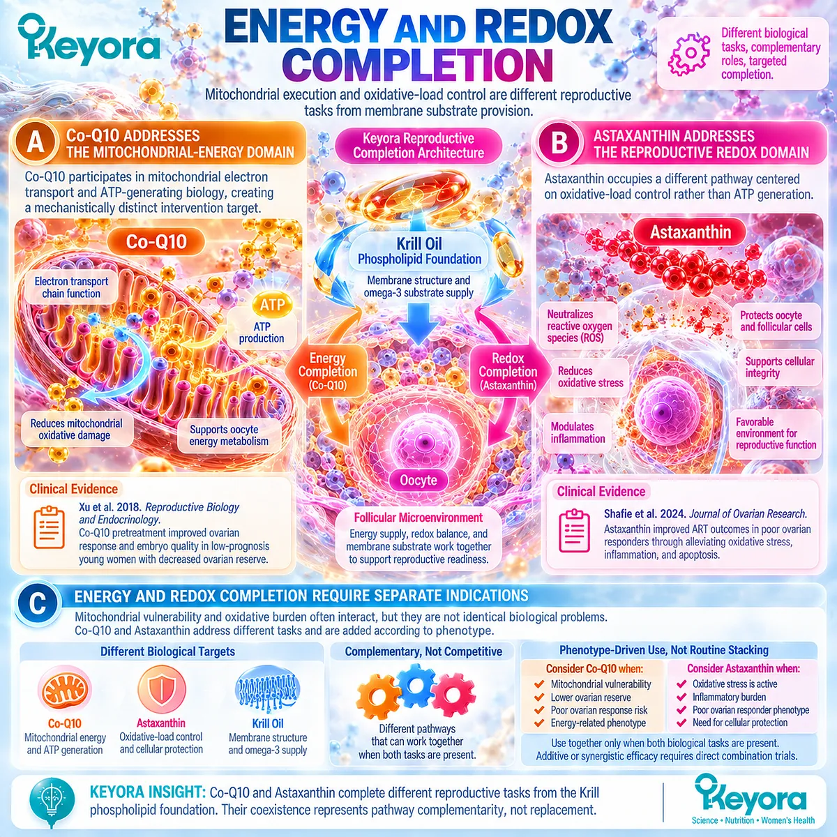 Fertility wellness links Co-Q10 mitochondrial ATP support and astaxanthin redox balance with krill membrane nutrition under Keyora Reproductive Pathway Completion Rule. Fertility wellness links Co-Q10 mitochondrial ATP support and astaxanthin redox balance with krill membrane nutrition under Keyora Reproductive Pathway Completion Rule.