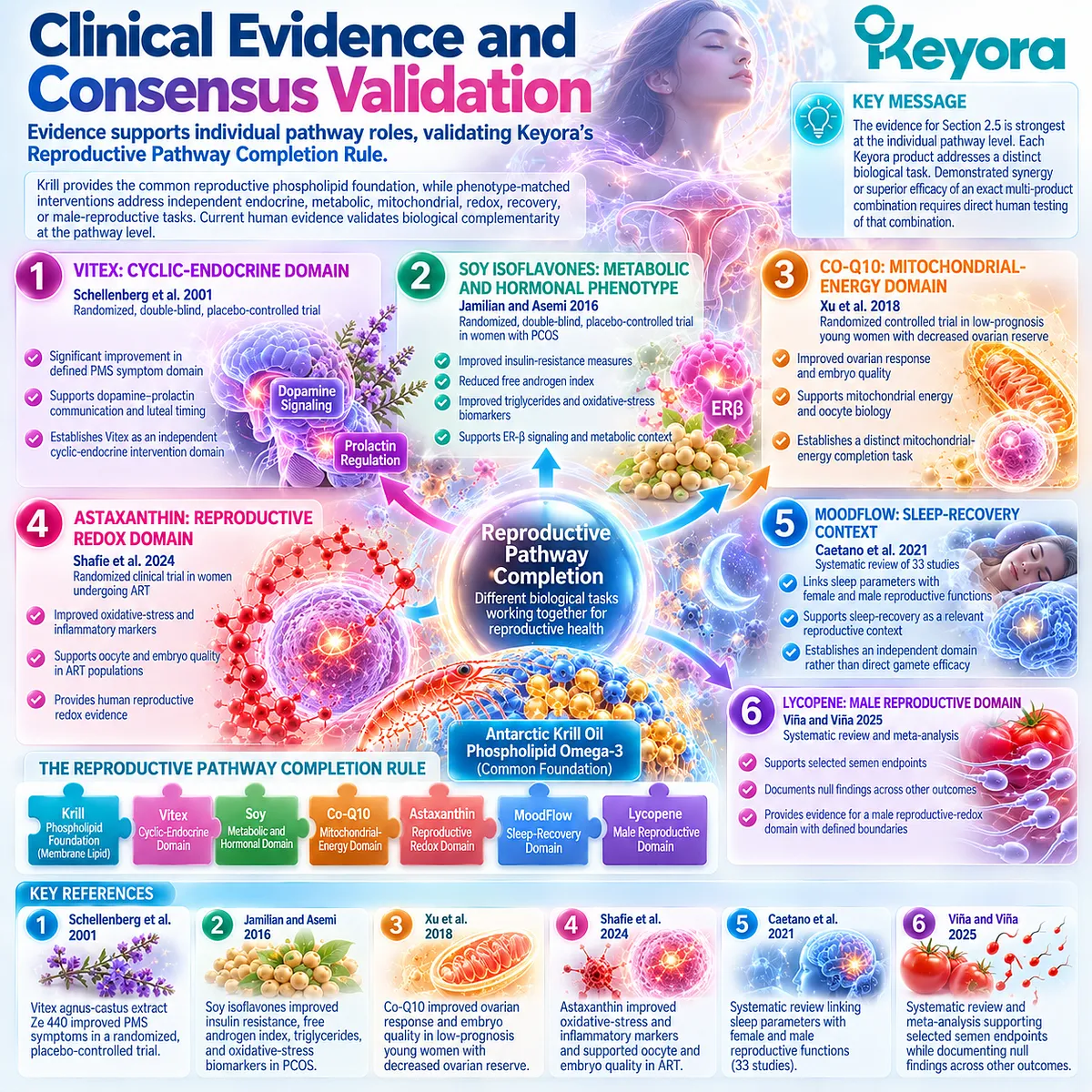 Preconception evidence links endocrine, metabolic, mitochondrial, redox, sleep and male reproductive support with Keyora Reproductive Pathway Completion Rule. Preconception evidence links endocrine, metabolic, mitochondrial, redox, sleep and male reproductive support with Keyora Reproductive Pathway Completion Rule.