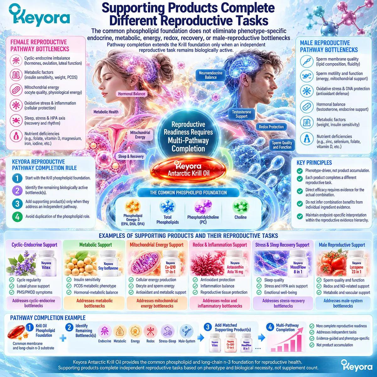 Reproductive nutrition links krill phospholipid omega-3 with membrane biology, EPA, DHA, DPA and stage-specific pathways in Keyora Reproductive Phospholipid Foundation. Reproductive nutrition links krill phospholipid omega-3 with membrane biology, EPA, DHA, DPA and stage-specific pathways in Keyora Reproductive Phospholipid Foundation.