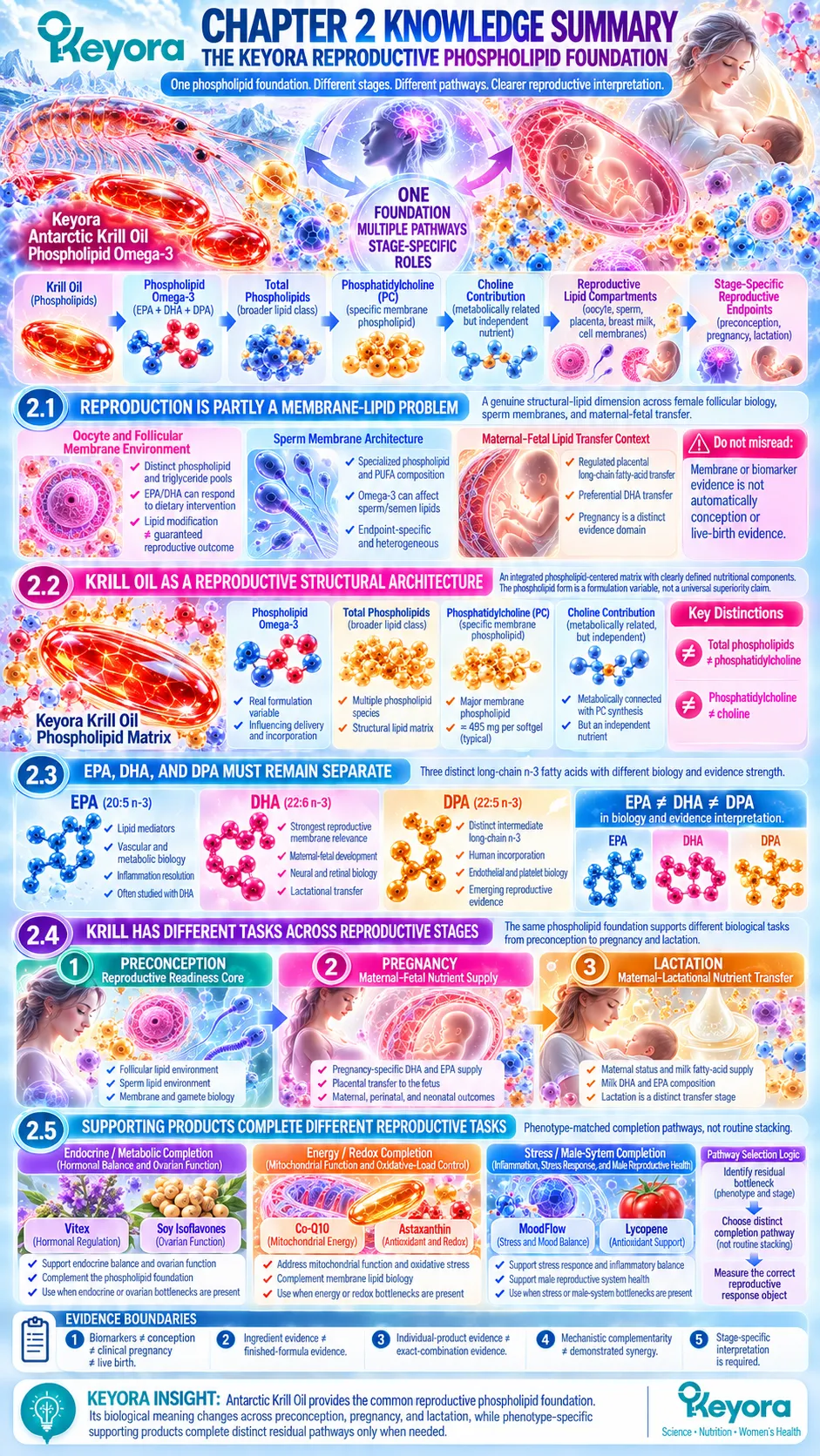 Reproductive nutrition links krill phospholipid omega-3 with membrane biology, EPA, DHA, DPA and stage-specific pathways in Keyora Reproductive Phospholipid Foundation. Reproductive nutrition links krill phospholipid omega-3 with membrane biology, EPA, DHA, DPA and stage-specific pathways in Keyora Reproductive Phospholipid Foundation.