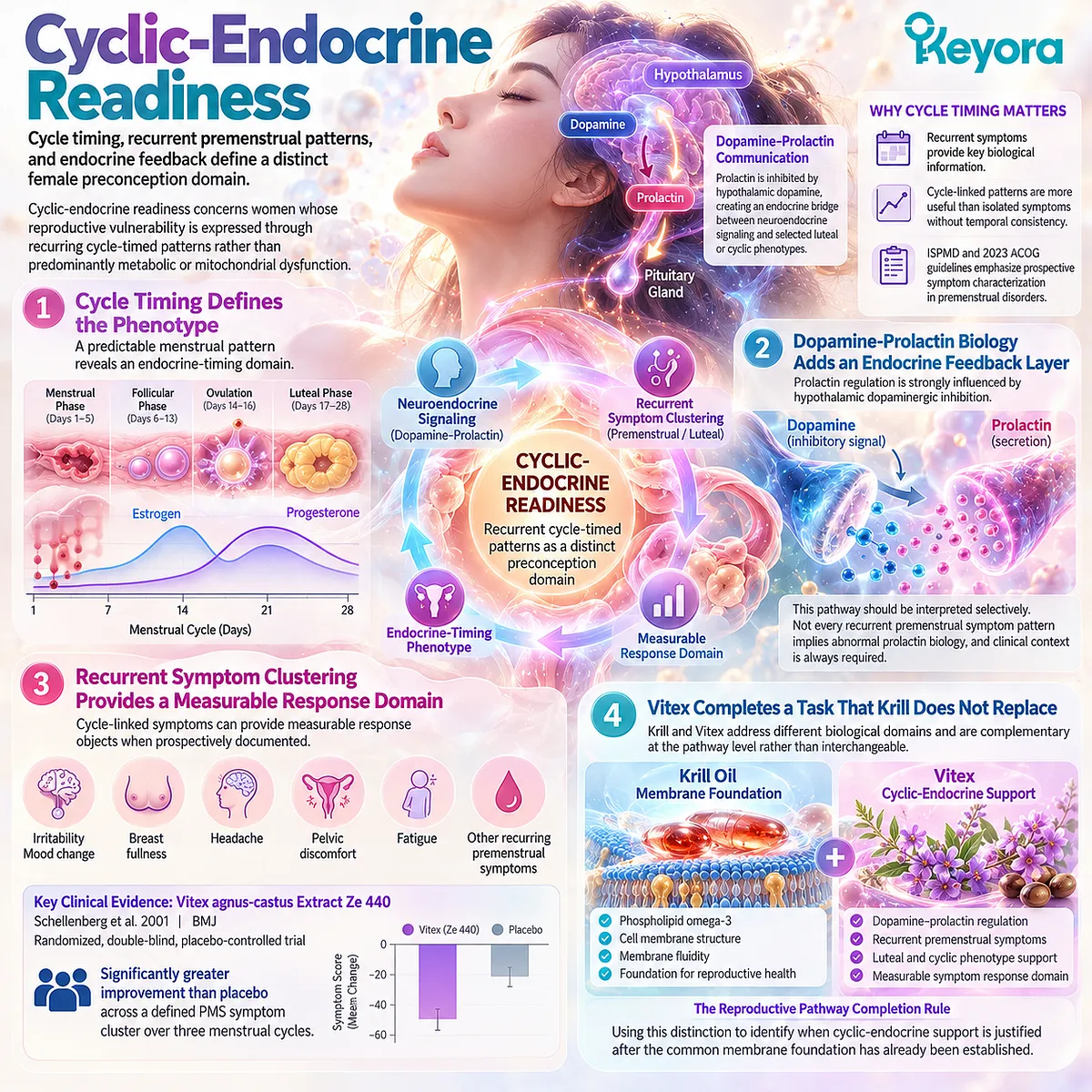 PMS cycle timing and dopamine-prolactin feedback define cyclic-endocrine readiness, with Vitex complementing krill in Keyora Reproductive Pathway Completion Rule. PMS cycle timing and dopamine-prolactin feedback define cyclic-endocrine readiness, with Vitex complementing krill in Keyora Reproductive Pathway Completion Rule.