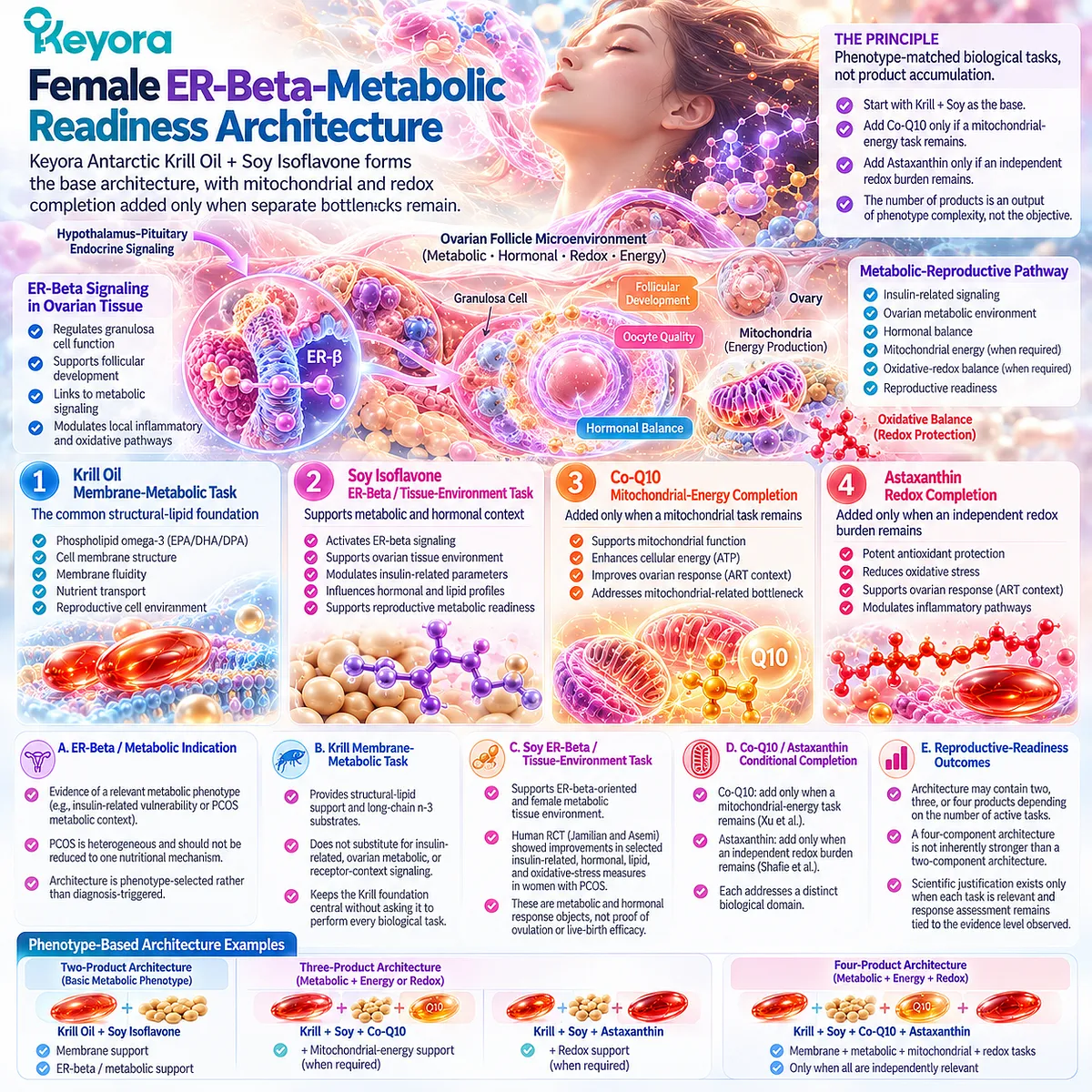 Preconception metabolic wellness links krill phospholipids and soy ER-β signaling, adding Co-Q10 or astaxanthin by phenotype in Keyora Female Metabolic-Reproductive Completion Architecture. Preconception metabolic wellness links krill phospholipids and soy ER-β signaling, adding Co-Q10 or astaxanthin by phenotype in Keyora Female Metabolic-Reproductive Completion Architecture.