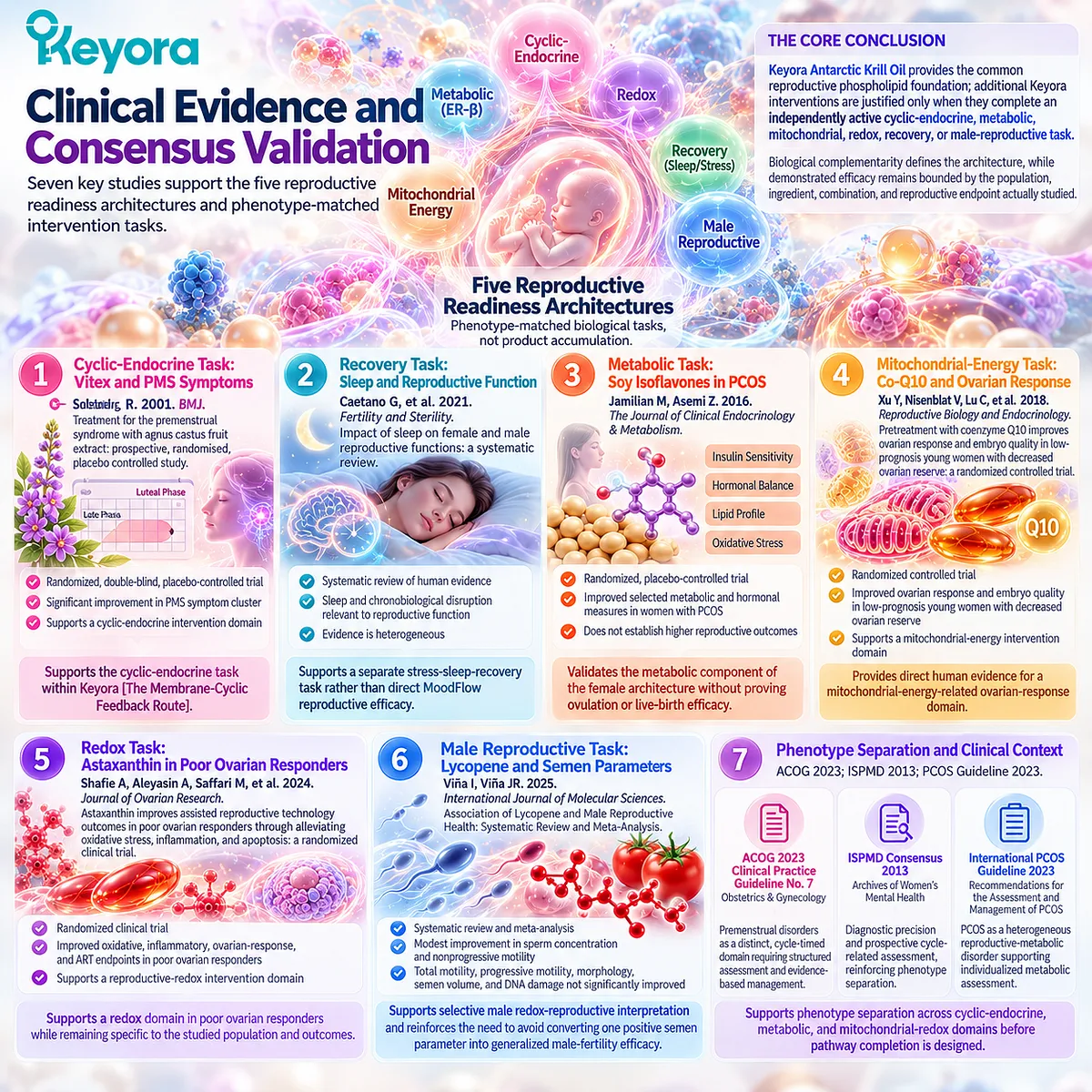 Preconception nutrition evidence links phospholipid membranes with endocrine, metabolic, mitochondrial, redox and sleep pathways in Keyora Reproductive Pathway Completion Rule. Preconception nutrition evidence links phospholipid membranes with endocrine, metabolic, mitochondrial, redox and sleep pathways in Keyora Reproductive Pathway Completion Rule.