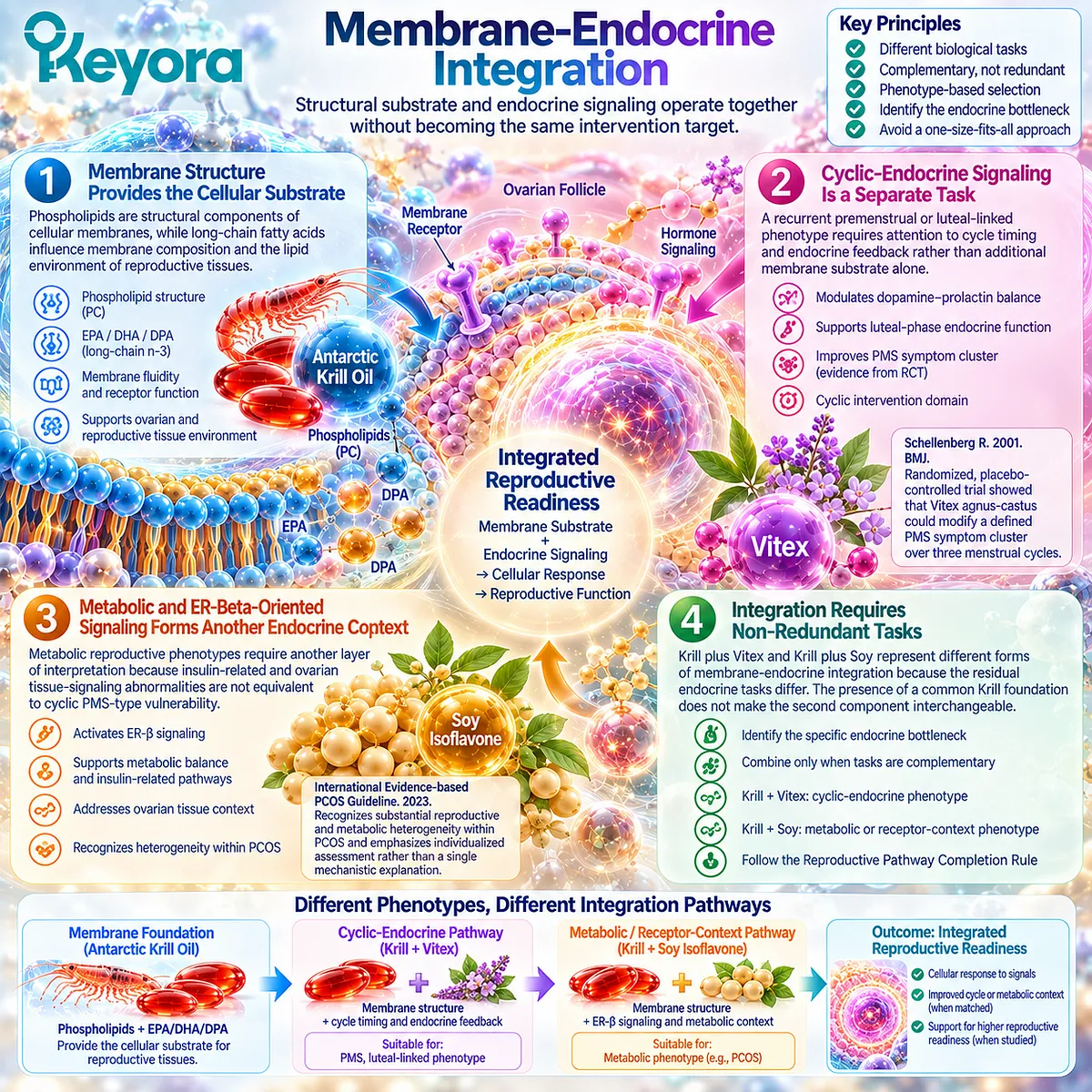 Preconception nutrition links krill phospholipid membranes with Vitex cyclic signaling or soy ER-β metabolic pathways through Keyora Reproductive Pathway Completion Rule. Preconception nutrition links krill phospholipid membranes with Vitex cyclic signaling or soy ER-β metabolic pathways through Keyora Reproductive Pathway Completion Rule.