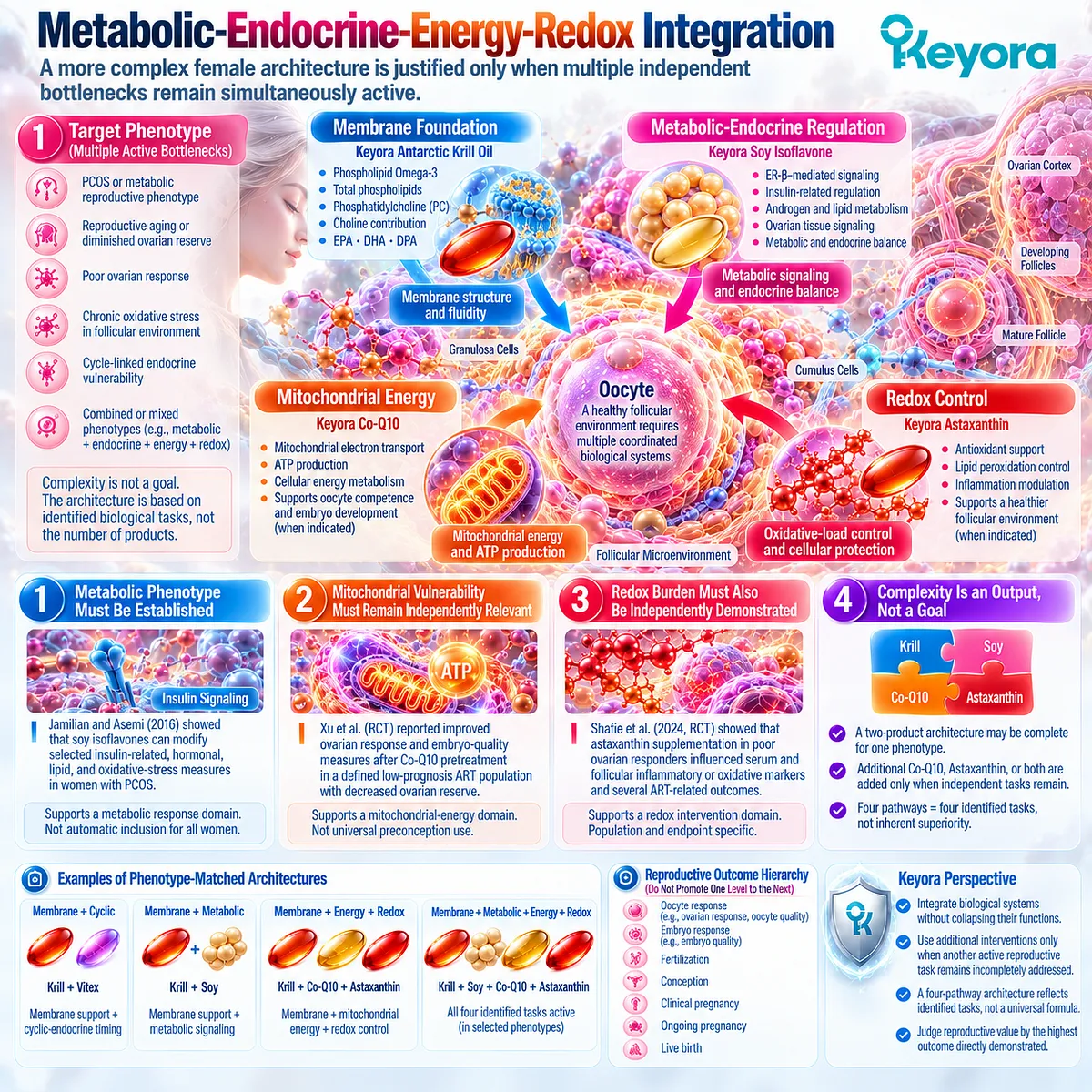 Preconception metabolic health links soy ER-β signaling, Co-Q10 mitochondrial energy and astaxanthin redox balance in Keyora Reproductive Readiness Integration Matrix. Preconception metabolic health links soy ER-β signaling, Co-Q10 mitochondrial energy and astaxanthin redox balance in Keyora Reproductive Readiness Integration Matrix.