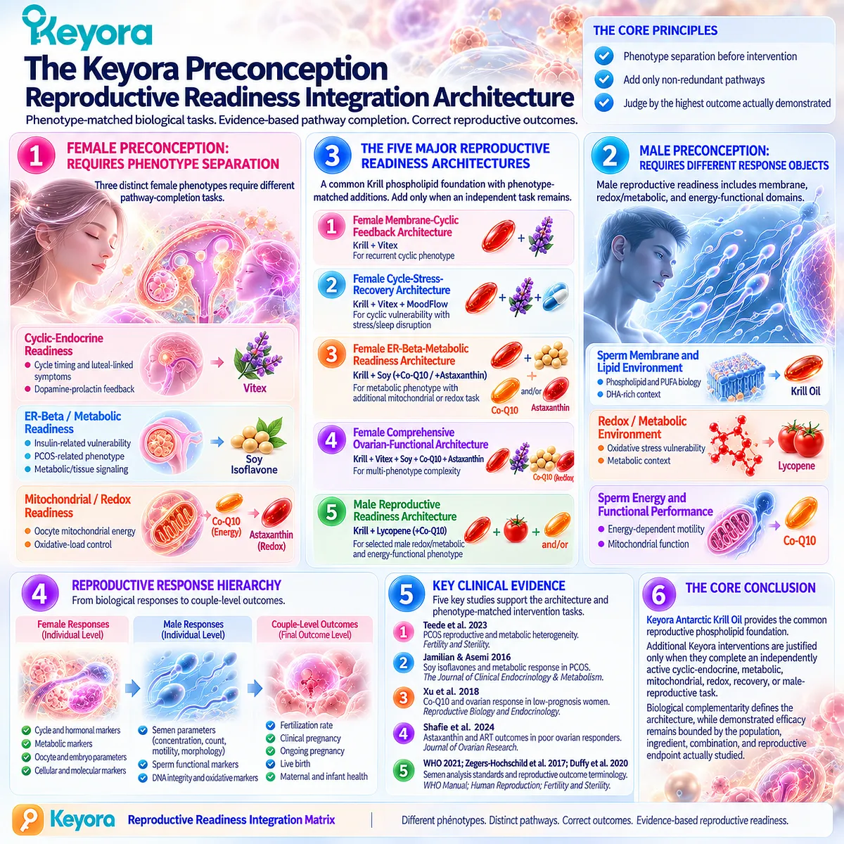 Preconception nutrition maps female and male phenotypes from krill phospholipid foundations to endocrine, metabolic, energy and redox pathways in Keyora Reproductive Readiness Integration Matrix. Preconception nutrition maps female and male phenotypes from krill phospholipid foundations to endocrine, metabolic, energy and redox pathways in Keyora Reproductive Readiness Integration Matrix.