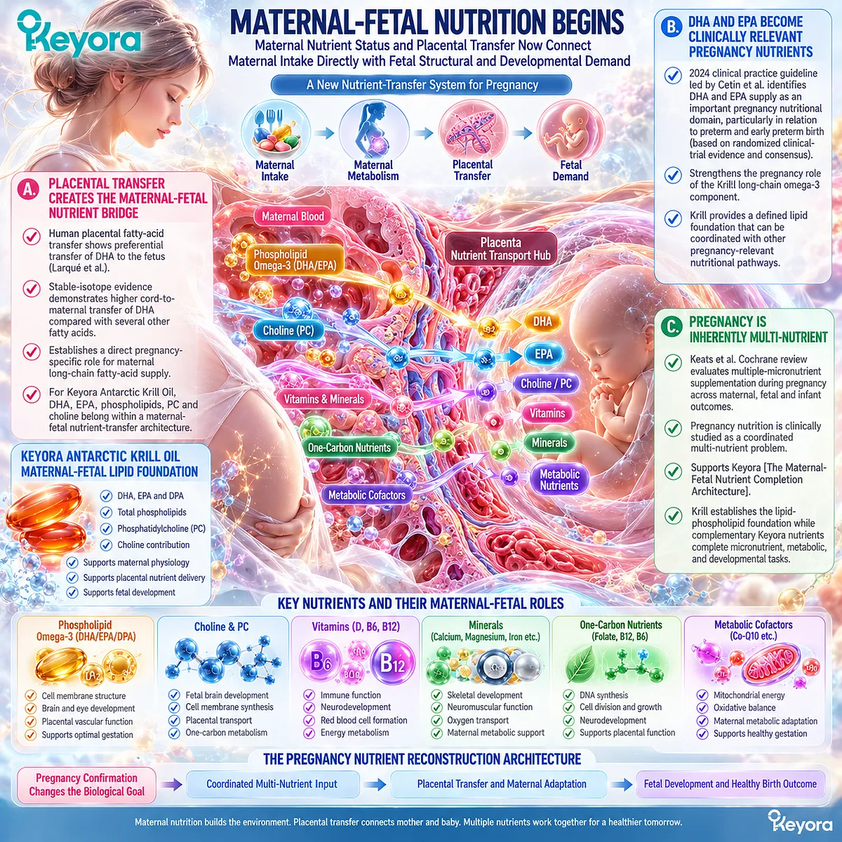 Maternal-fetal nutrition links placental DHA transfer with omega-3, phospholipid and micronutrient supply through Keyora Maternal-Fetal Nutrient Completion Architecture. Maternal-fetal nutrition links placental DHA transfer with omega-3, phospholipid and micronutrient supply through Keyora Maternal-Fetal Nutrient Completion Architecture.