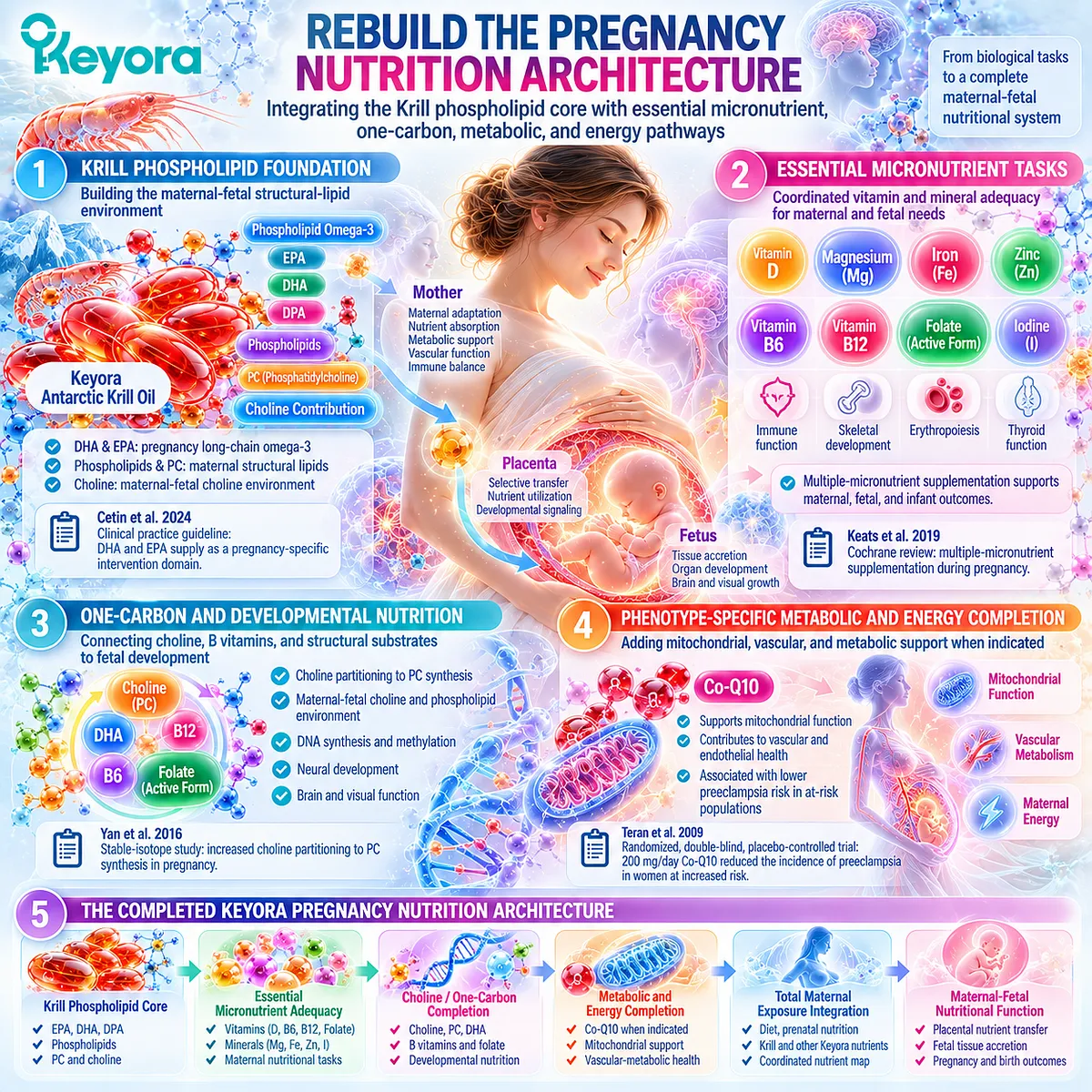 Pregnancy nutrition integrates phospholipid omega-3, choline, B vitamins and metabolic support through Keyora Pregnancy Nutrient Reconstruction Architecture. Pregnancy nutrition integrates phospholipid omega-3, choline, B vitamins and metabolic support through Keyora Pregnancy Nutrient Reconstruction Architecture.