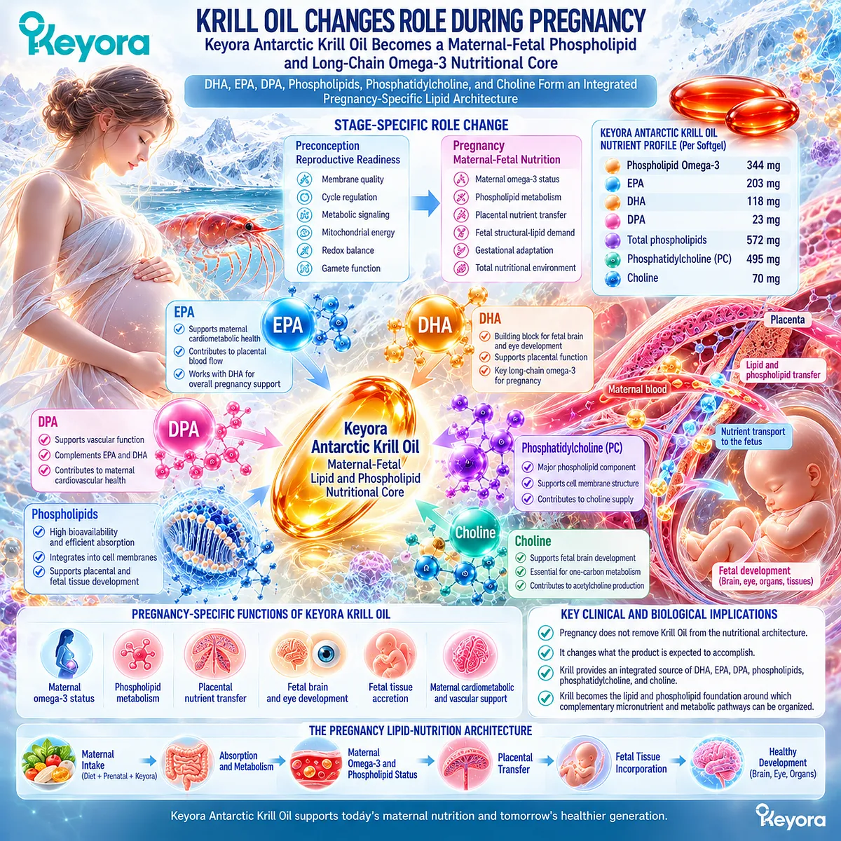Pregnancy omega-3 nutrition links DHA, EPA, DPA, phosphatidylcholine and choline to maternal-fetal lipid support through Keyora Stage-Specific Nutrient Role Rule. Pregnancy omega-3 nutrition links DHA, EPA, DPA, phosphatidylcholine and choline to maternal-fetal lipid support through Keyora Stage-Specific Nutrient Role Rule.