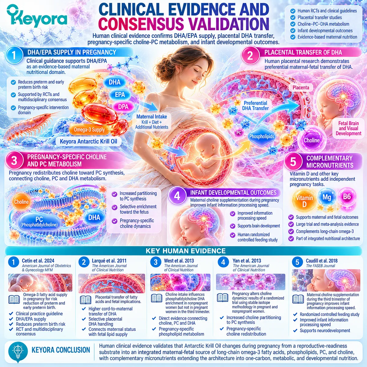 Pregnancy nutrition evidence links placental DHA transfer, PC synthesis and choline metabolism to Keyora maternal-fetal phospholipid and one-carbon architecture. Pregnancy nutrition evidence links placental DHA transfer, PC synthesis and choline metabolism to Keyora maternal-fetal phospholipid and one-carbon architecture.