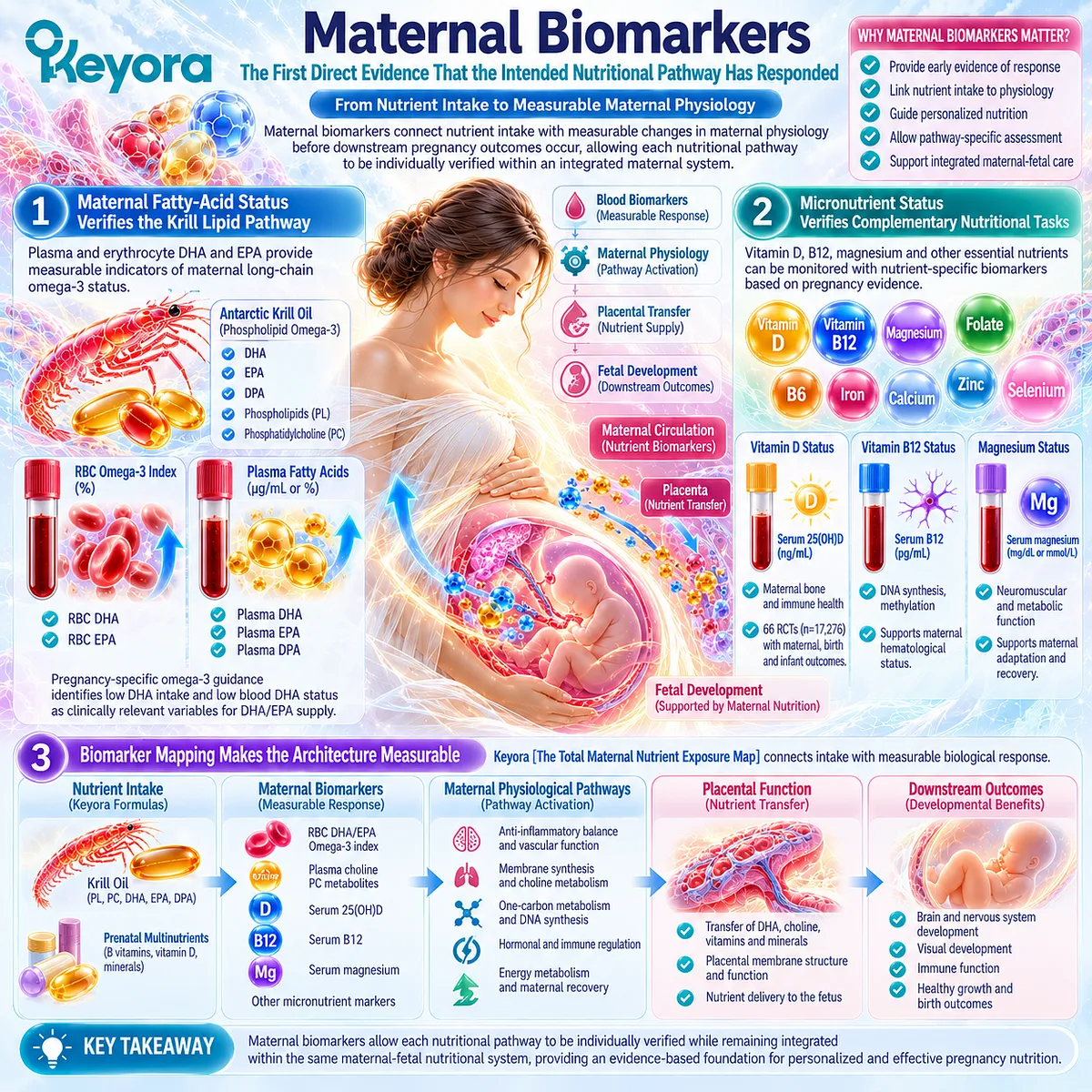 Pregnancy biomarkers track DHA/EPA, choline metabolism and micronutrient status, linking total intake to response through Keyora Total Maternal Nutrient Exposure Map. Pregnancy biomarkers track DHA/EPA, choline metabolism and micronutrient status, linking total intake to response through Keyora Total Maternal Nutrient Exposure Map.