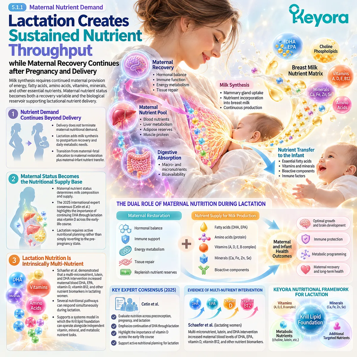 Lactation nutrition raises maternal demand for DHA, EPA, vitamins and minerals to support milk synthesis and postpartum recovery within Keyora’s maternal nutrient supply model. Lactation nutrition raises maternal demand for DHA, EPA, vitamins and minerals to support milk synthesis and postpartum recovery within Keyora’s maternal nutrient supply model.