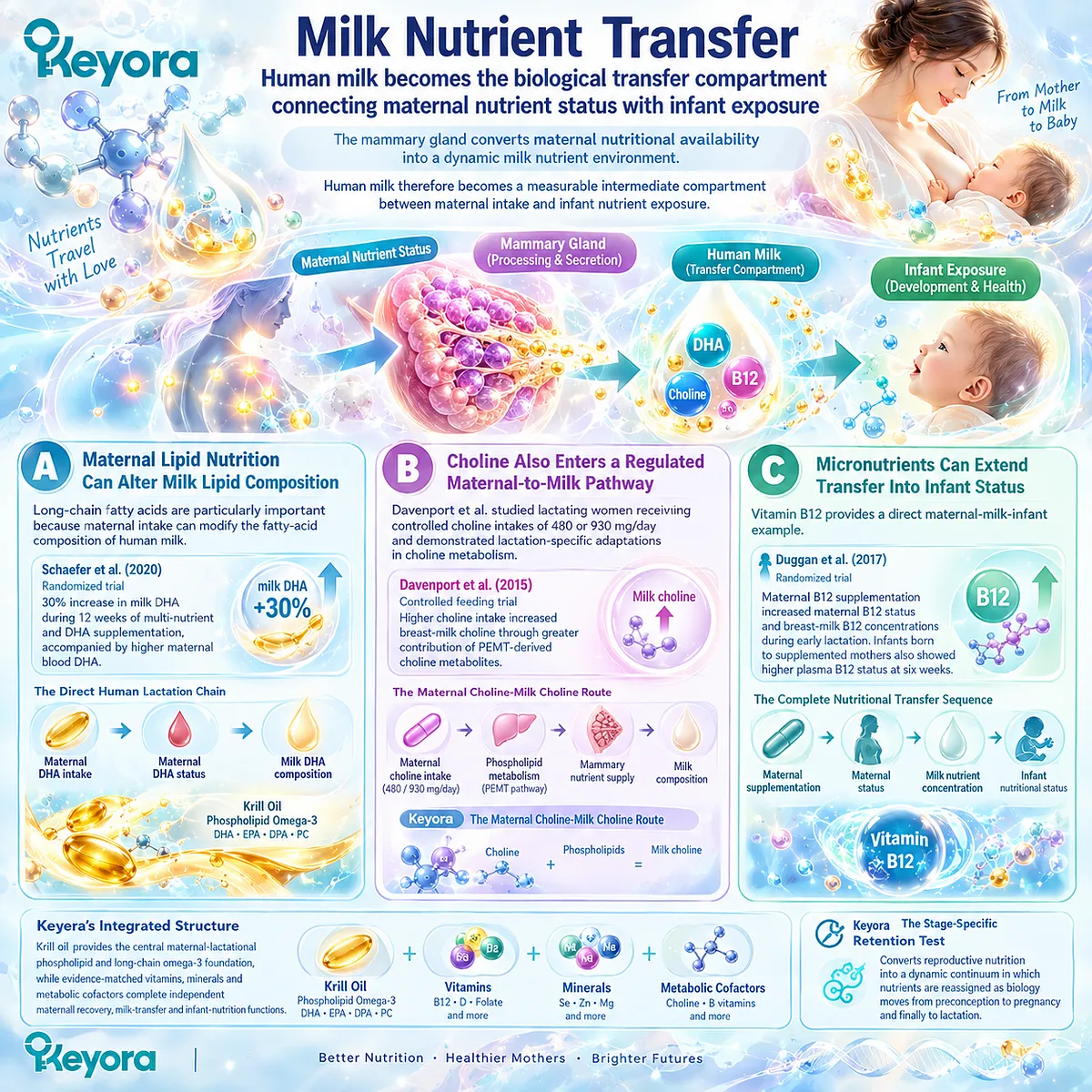 Breast-milk nutrient transfer links maternal DHA, choline and vitamin B12 status with infant nutrient exposure through Keyora’s Maternal Choline-Milk Choline Route. Breast-milk nutrient transfer links maternal DHA, choline and vitamin B12 status with infant nutrient exposure through Keyora’s Maternal Choline-Milk Choline Route.