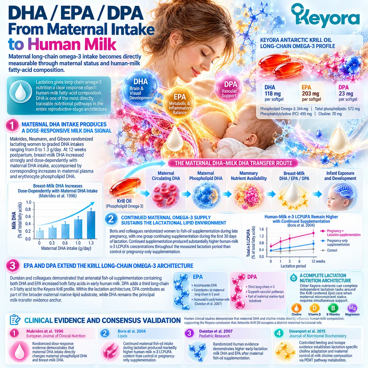 Lactation evidence links maternal DHA, EPA and choline intake with breast-milk fatty acids and choline via Keyora’s phospholipid-centered maternal-lactational architecture. Lactation evidence links maternal DHA, EPA and choline intake with breast-milk fatty acids and choline via Keyora’s phospholipid-centered maternal-lactational architecture.