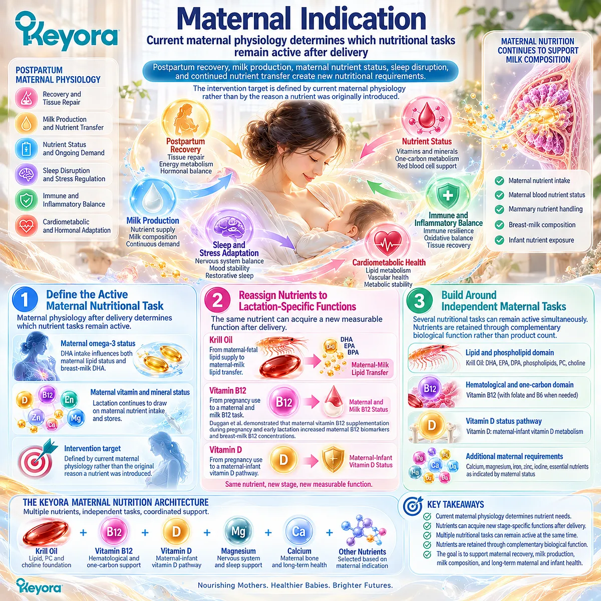 Postpartum nutrition reassigns DHA, vitamin B12 and vitamin D to current maternal recovery and breast-milk transfer needs through Keyora’s Stage-Specific Retention Test. Postpartum nutrition reassigns DHA, vitamin B12 and vitamin D to current maternal recovery and breast-milk transfer needs through Keyora’s Stage-Specific Retention Test.