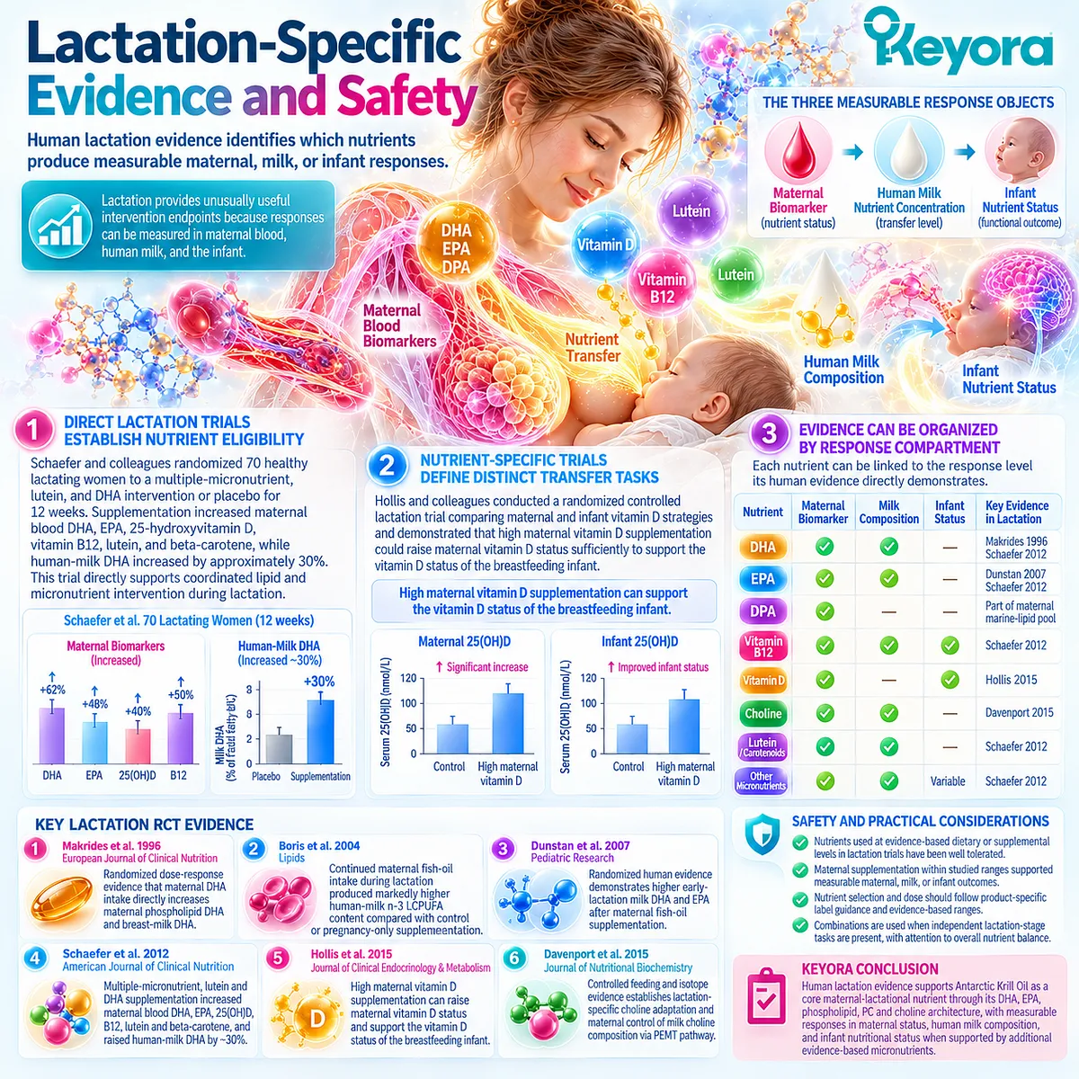 Lactation trials track DHA, vitamin B12 and vitamin D across maternal biomarkers, breast milk and infant status within Keyora’s evidence-based nutrient retention map. Lactation trials track DHA, vitamin B12 and vitamin D across maternal biomarkers, breast milk and infant status within Keyora’s evidence-based nutrient retention map.