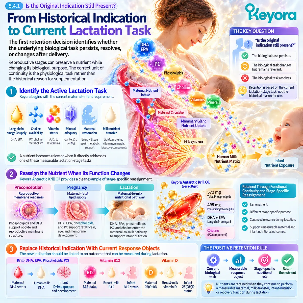 Lactation nutrition reassigns DHA, choline, vitamin B12 and vitamin D to current maternal-milk tasks through Keyora’s Stage-Specific Retention Test. Lactation nutrition reassigns DHA, choline, vitamin B12 and vitamin D to current maternal-milk tasks through Keyora’s Stage-Specific Retention Test.
