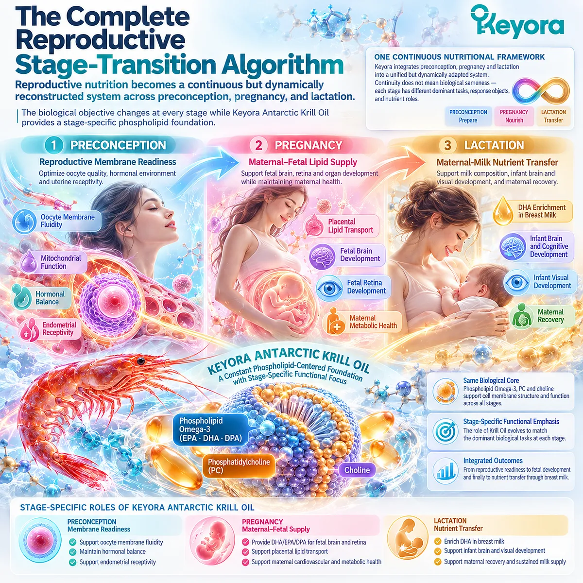 Reproductive nutrition shifts krill phospholipid omega-3 from preconception readiness to pregnancy lipid supply and lactation milk transfer in Keyora’s Stage-Transition Matrix. Reproductive nutrition shifts krill phospholipid omega-3 from preconception readiness to pregnancy lipid supply and lactation milk transfer in Keyora’s Stage-Transition Matrix.
