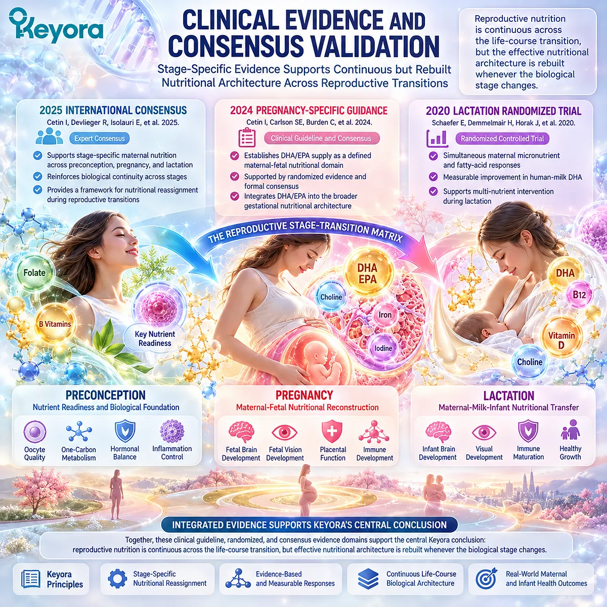 Reproductive nutrition evidence links DHA, EPA and micronutrients across preconception, pregnancy and lactation through Keyora’s Reproductive Stage-Transition Matrix. Reproductive nutrition evidence links DHA, EPA and micronutrients across preconception, pregnancy and lactation through Keyora’s Reproductive Stage-Transition Matrix.