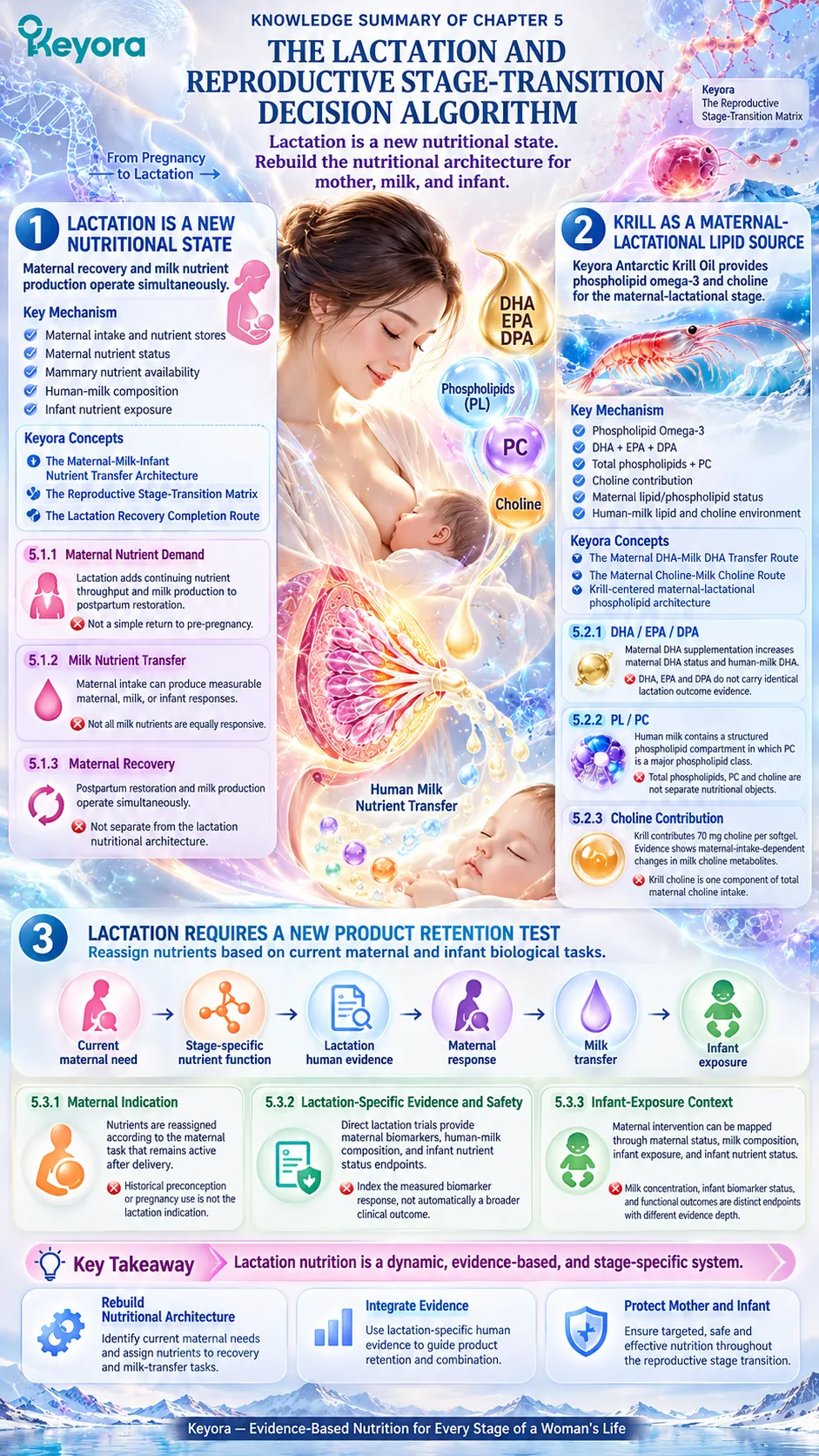 Lactation nutrition links maternal DHA, choline, B12 and vitamin D with breast-milk transfer and infant exposure through Keyora’s Reproductive Stage-Transition Matrix. Lactation nutrition links maternal DHA, choline, B12 and vitamin D with breast-milk transfer and infant exposure through Keyora’s Reproductive Stage-Transition Matrix.