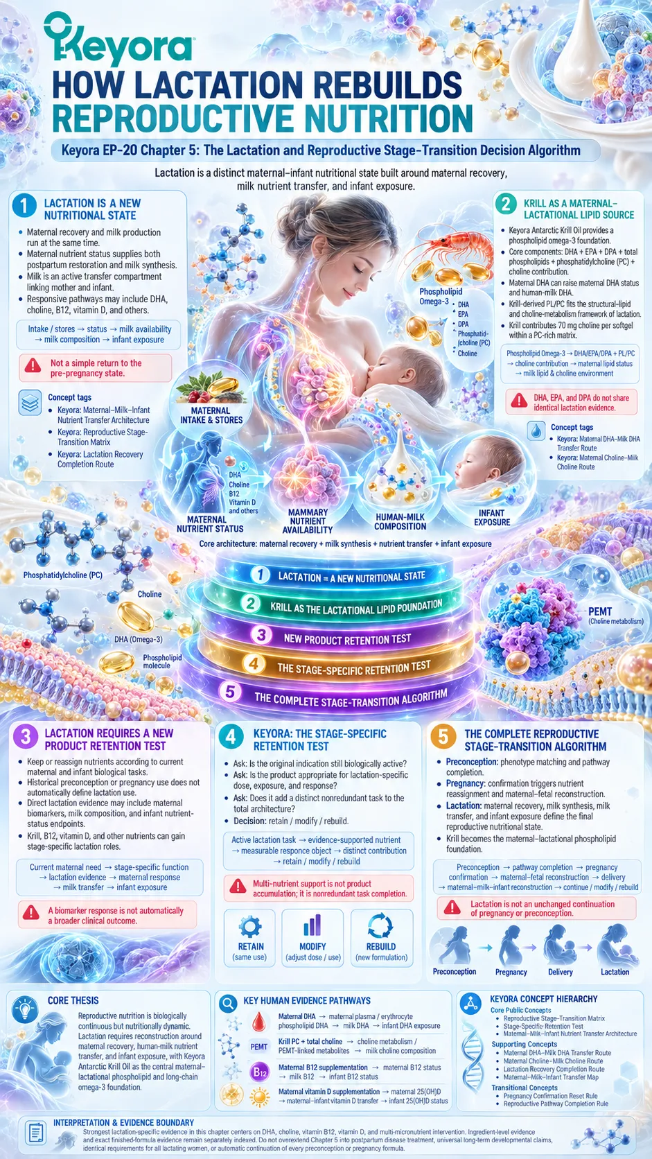Lactation nutrition links maternal DHA, choline, B12 and vitamin D with breast-milk transfer and infant exposure through Keyora’s Reproductive Stage-Transition Matrix. Lactation nutrition links maternal DHA, choline, B12 and vitamin D with breast-milk transfer and infant exposure through Keyora’s Reproductive Stage-Transition Matrix.