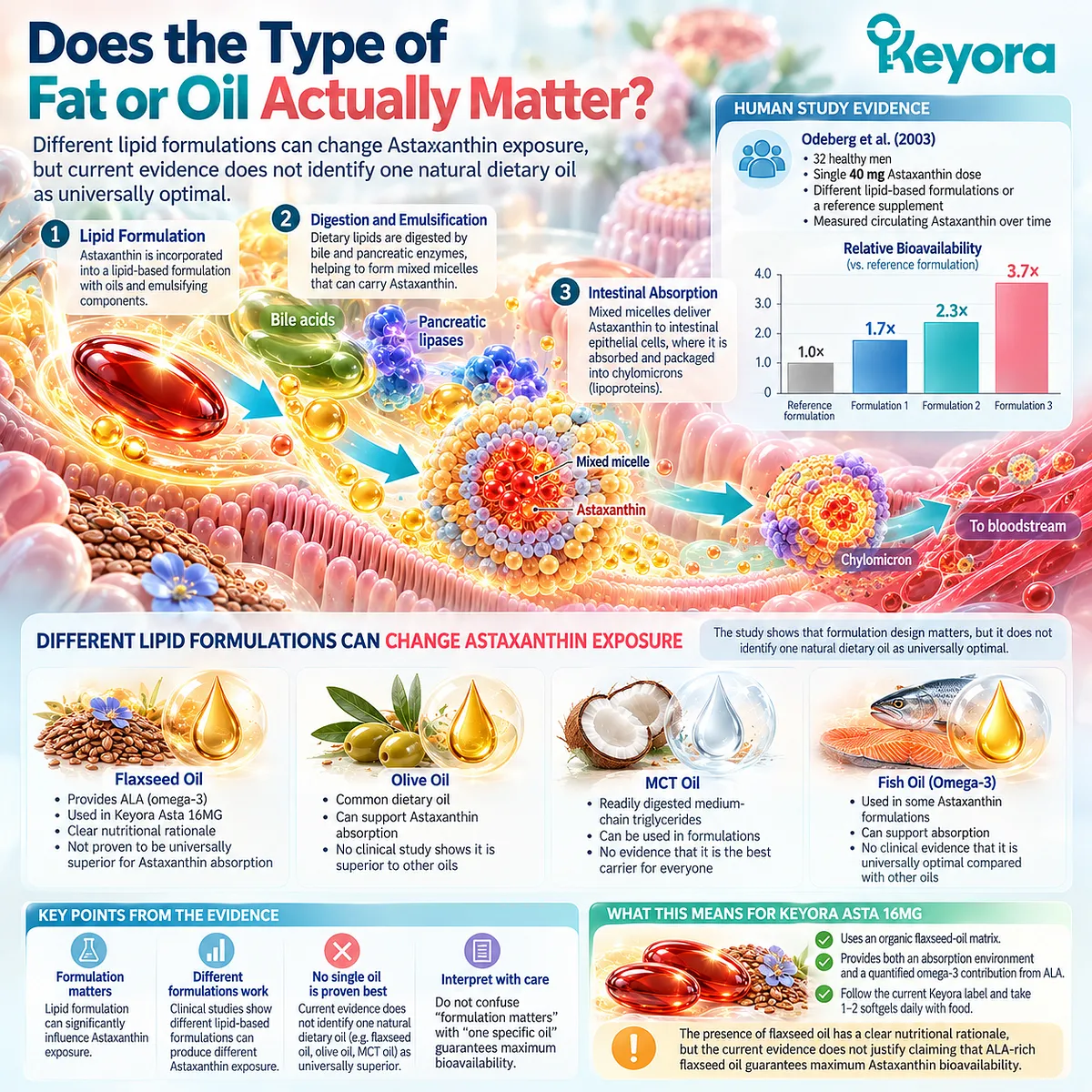 Astaxanthin bioavailability varies with lipid formulation and emulsification, while the Keyora Astaxanthin Matrix distinguishes delivery design from claims that one dietary oil is optimal. Astaxanthin bioavailability varies with lipid formulation and emulsification, while the Keyora Astaxanthin Matrix distinguishes delivery design from claims that one dietary oil is optimal.